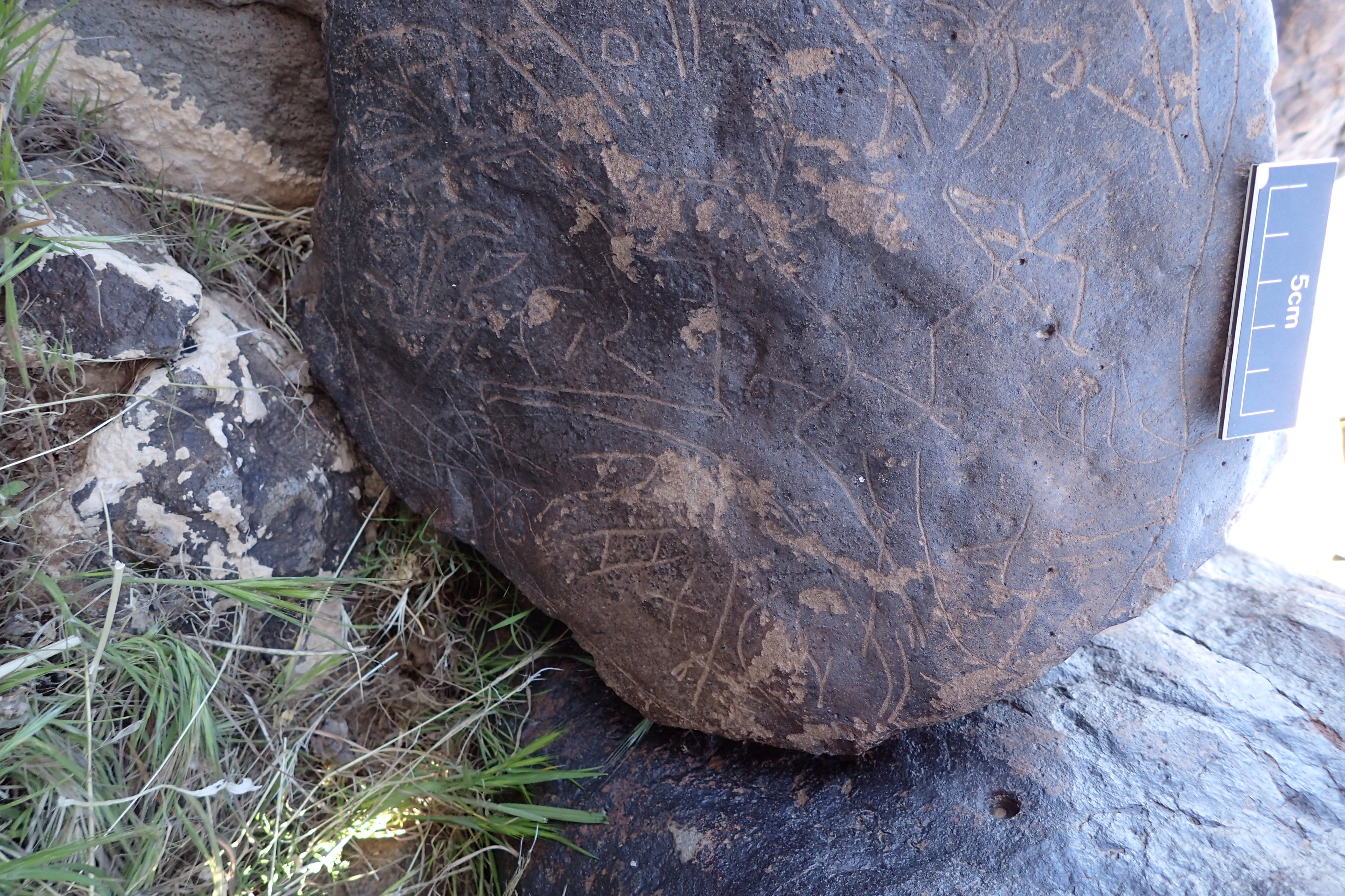 Image of siglum BES20 1610