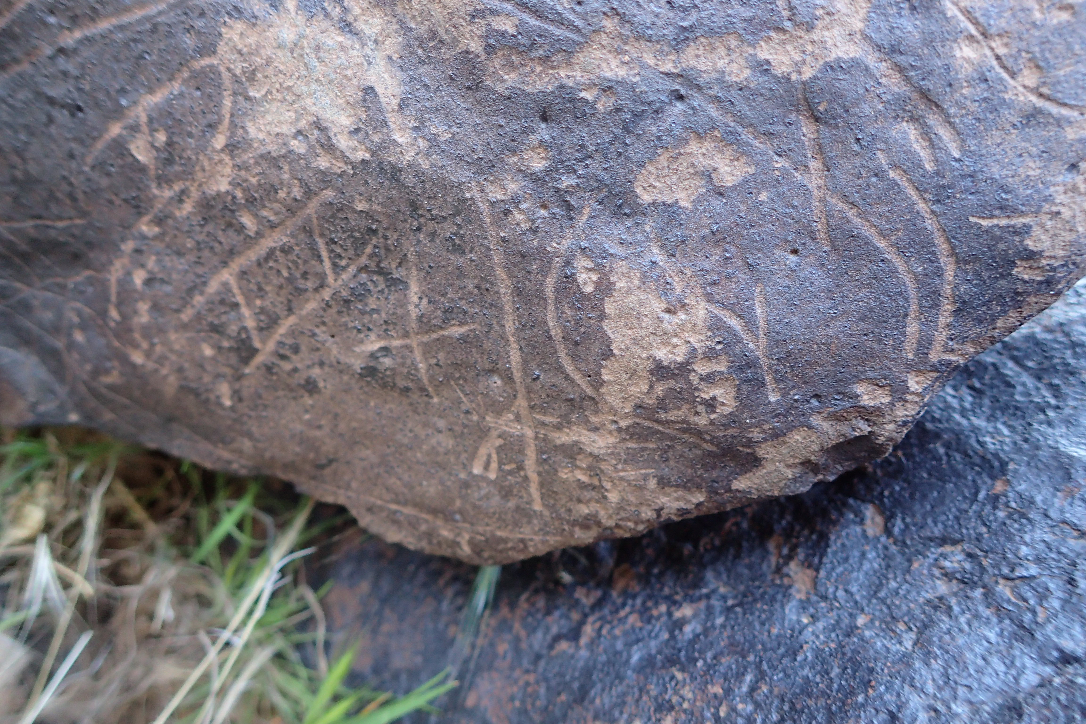 Image of siglum BES20 1610