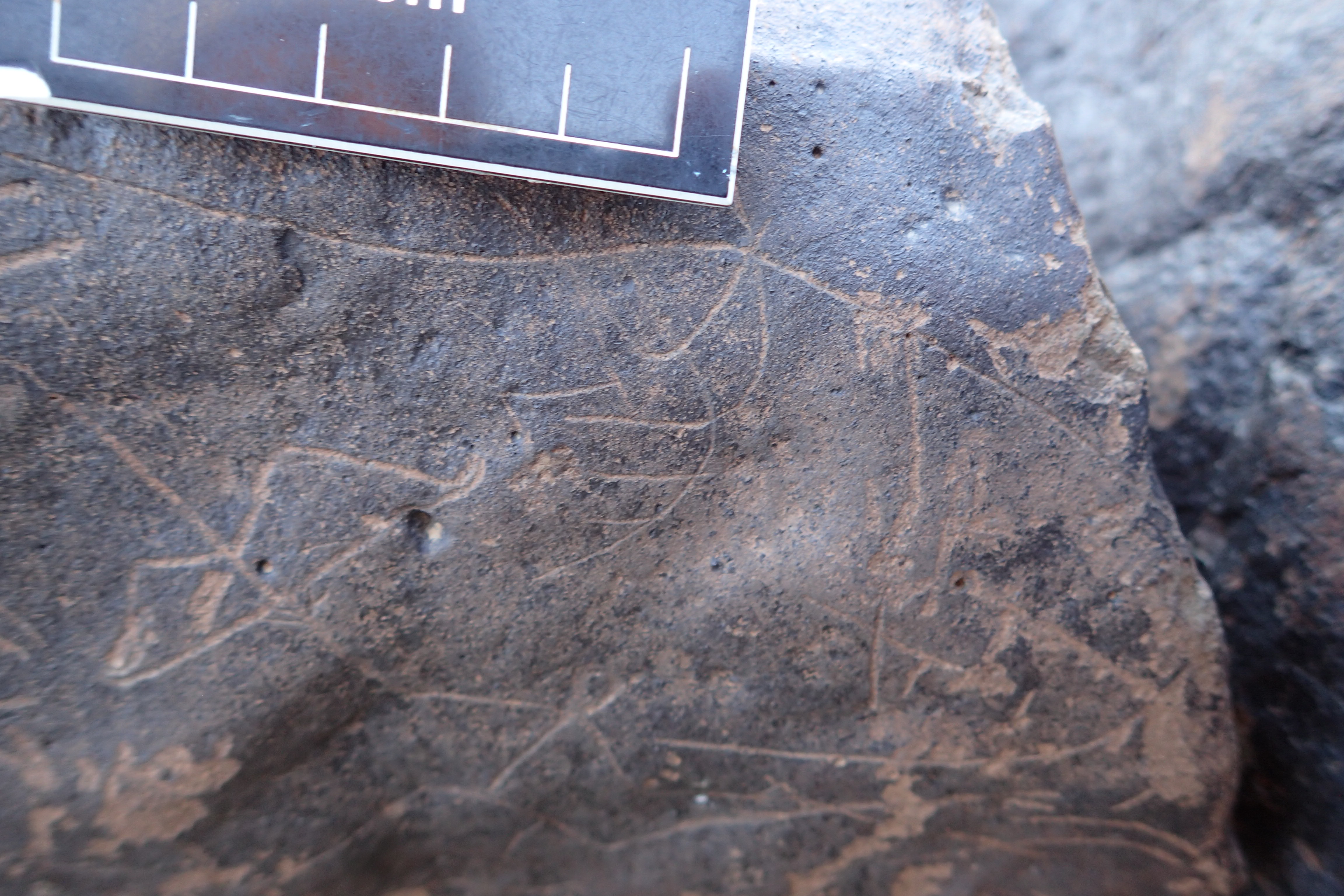 Image of siglum BES20 1610