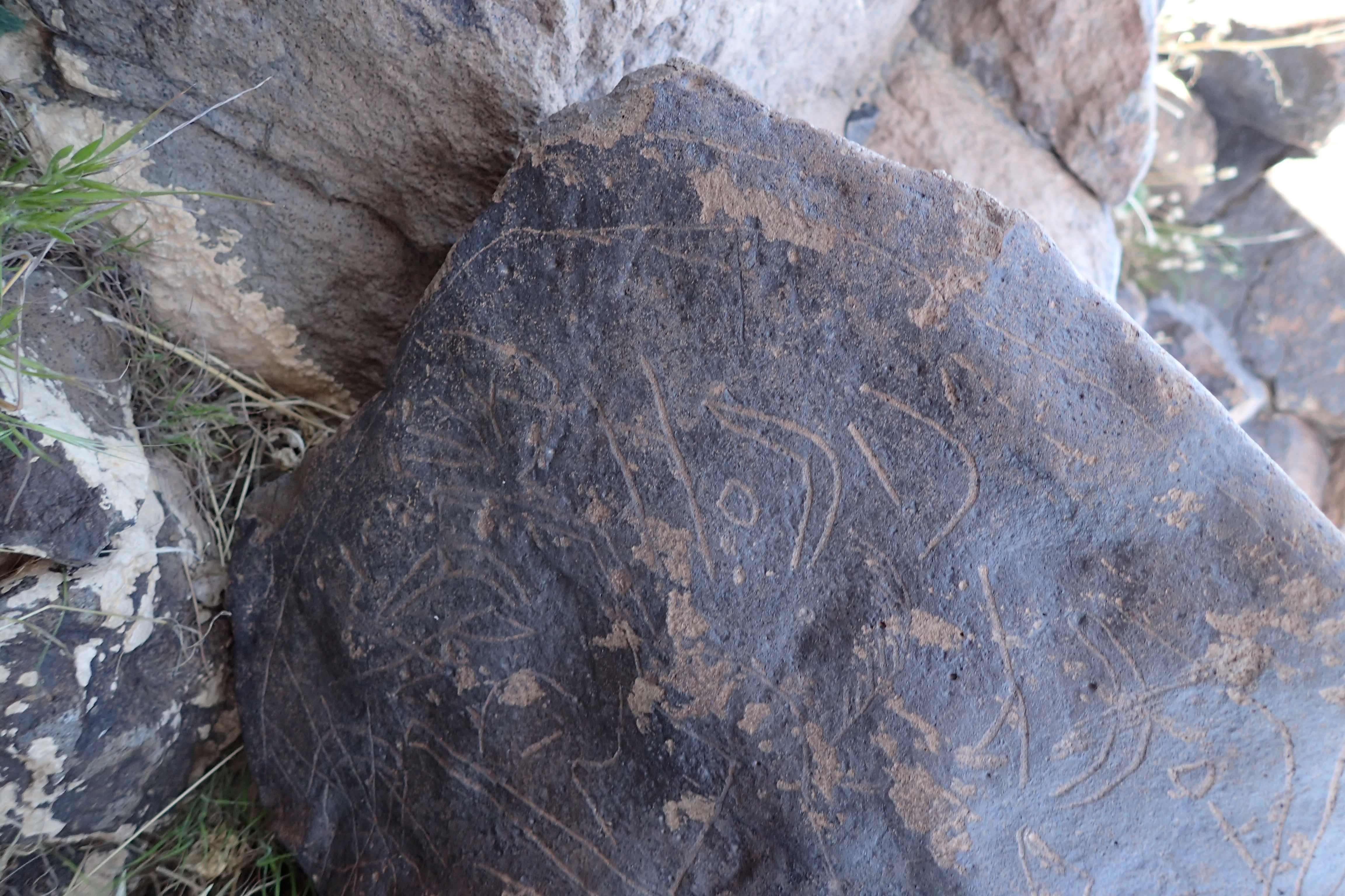 Image of siglum BES20 1610