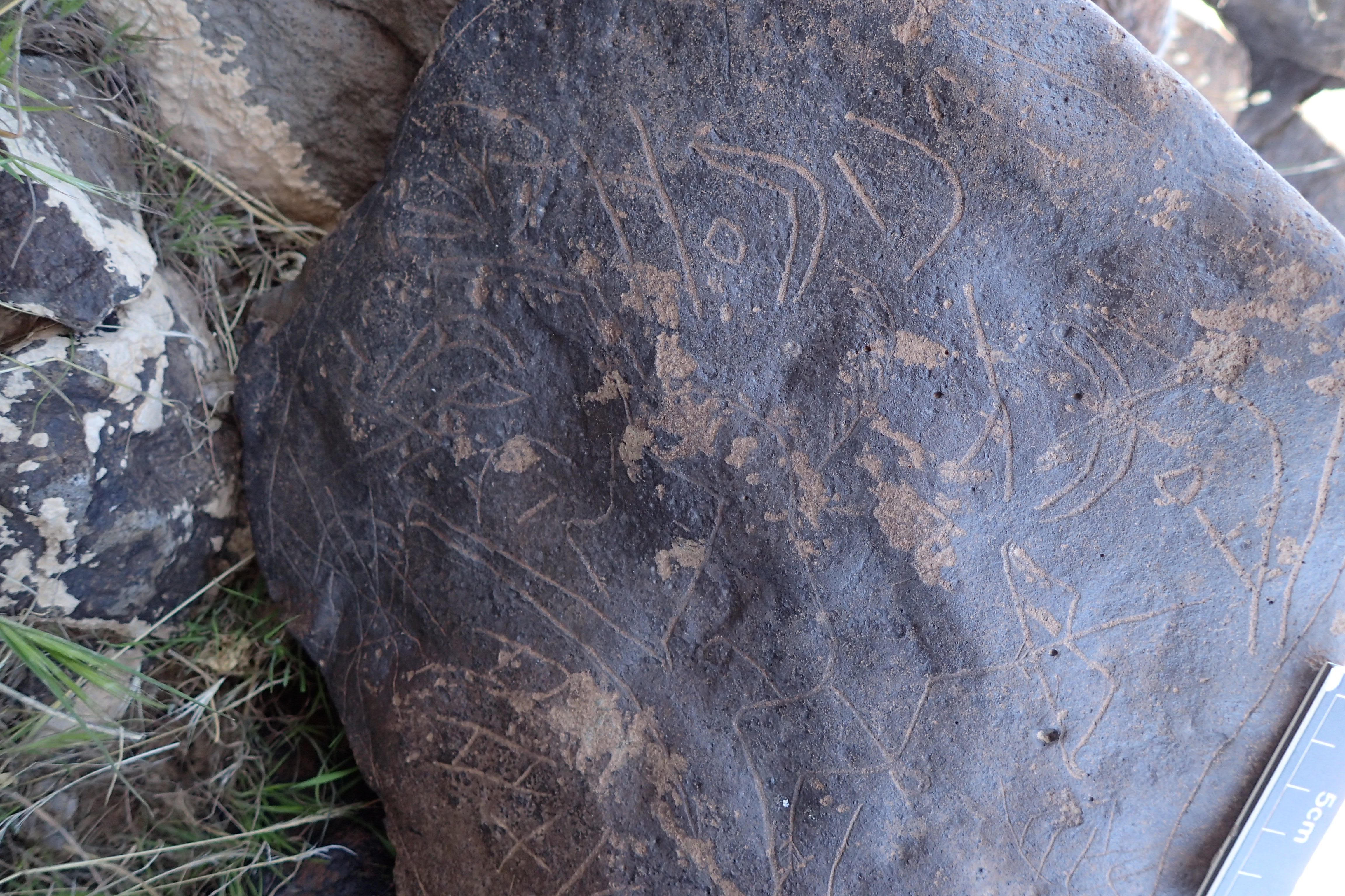 Image of siglum BES20 1610