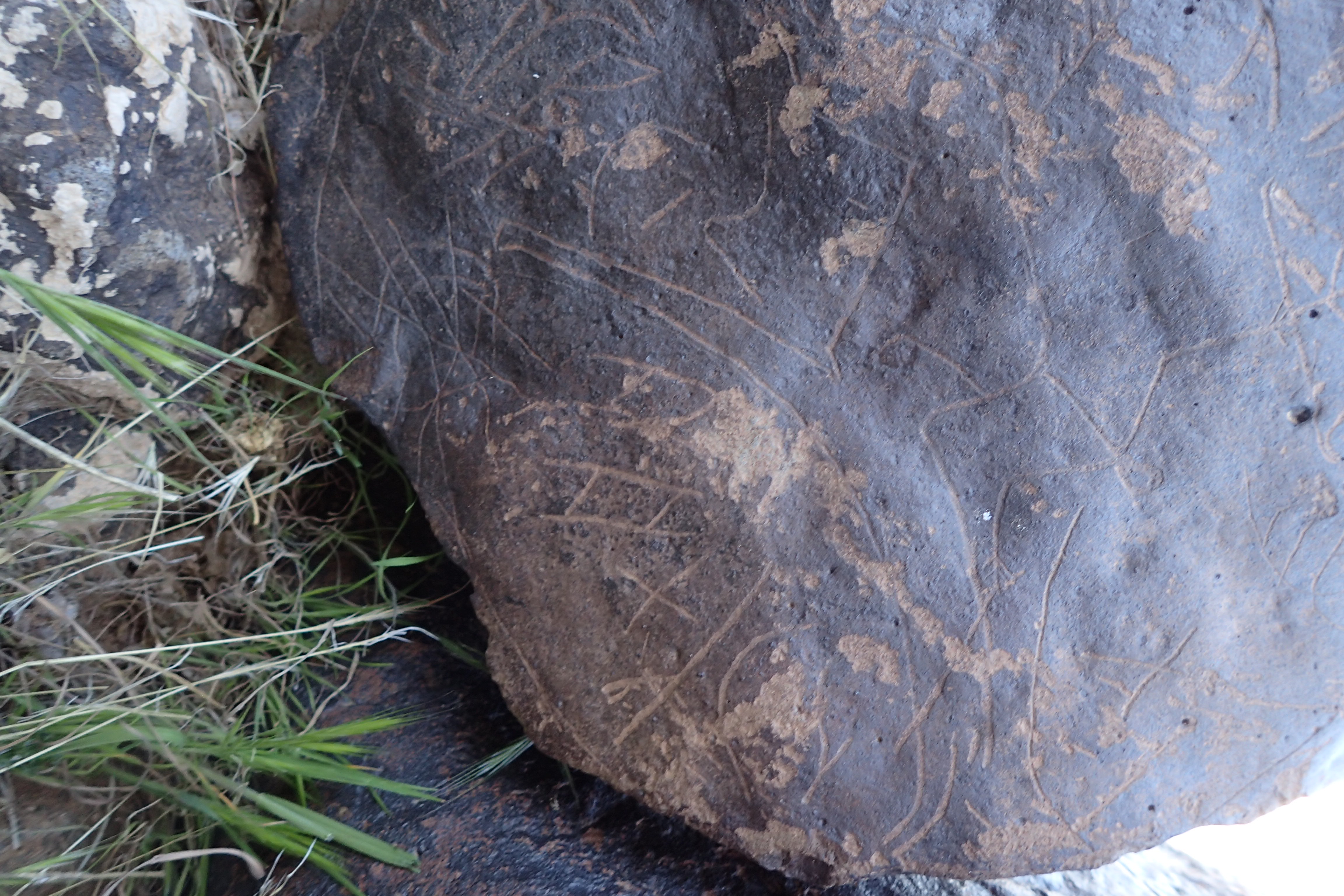 Image of siglum BES20 1610