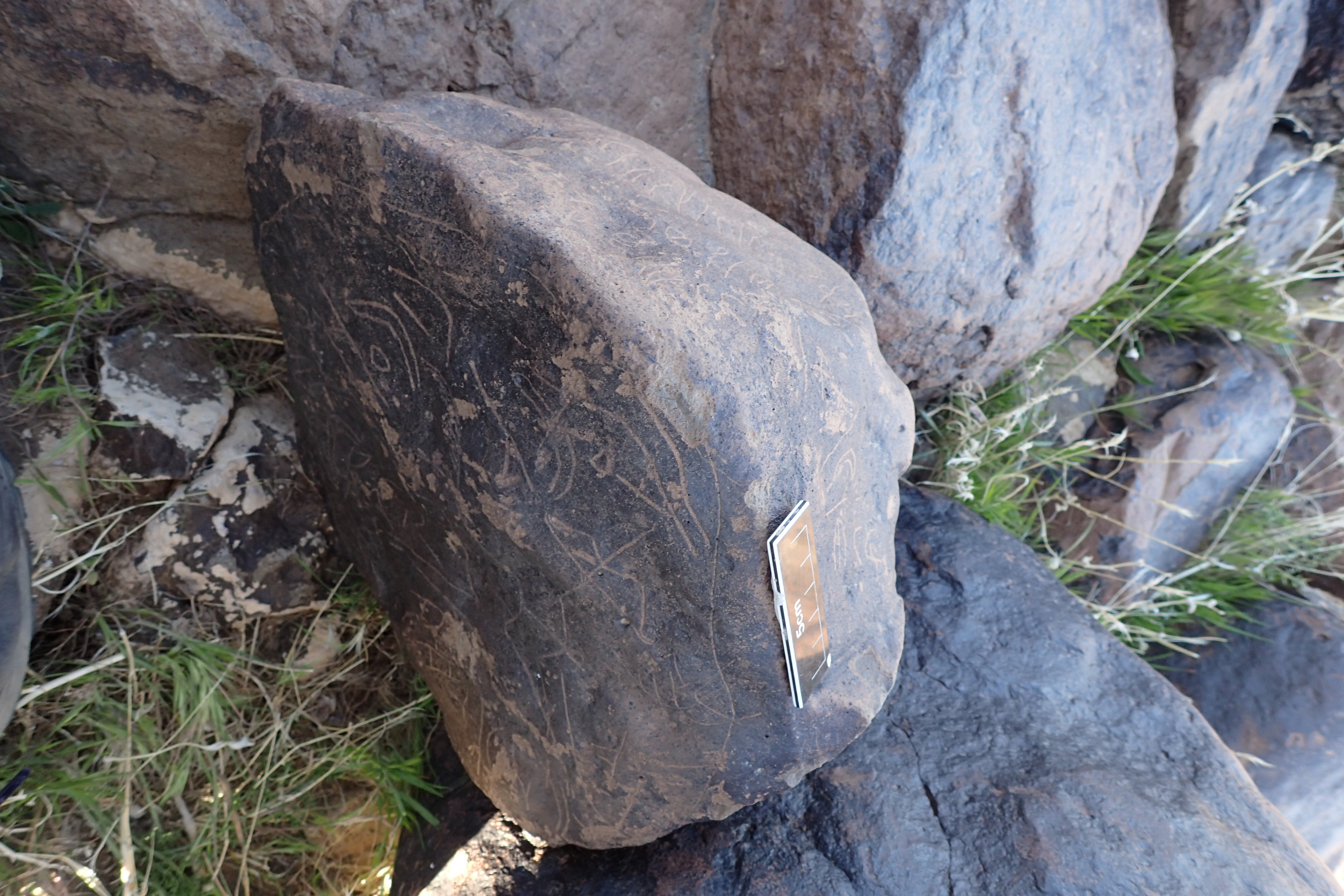 Image of siglum BES20 1610