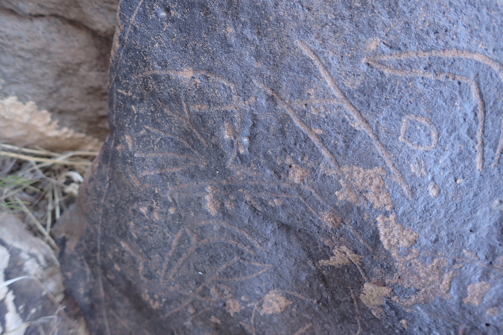 Image of siglum BES20 1610