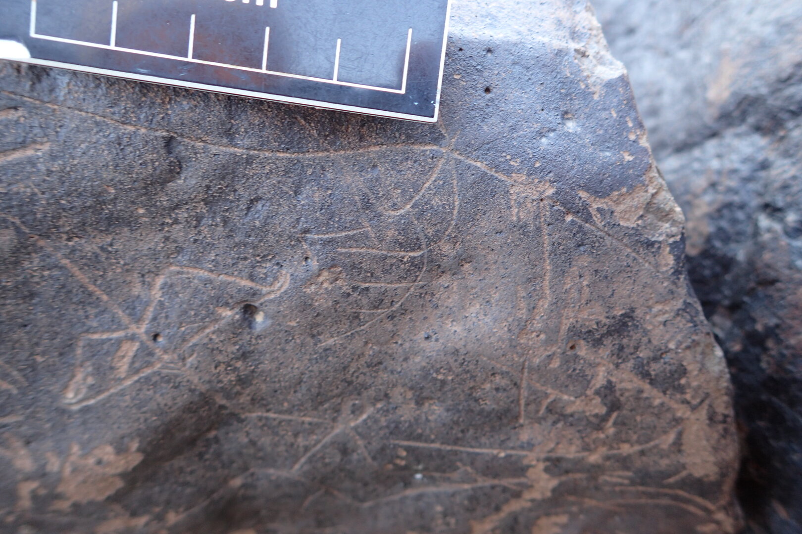 Image of siglum BES20 1610
