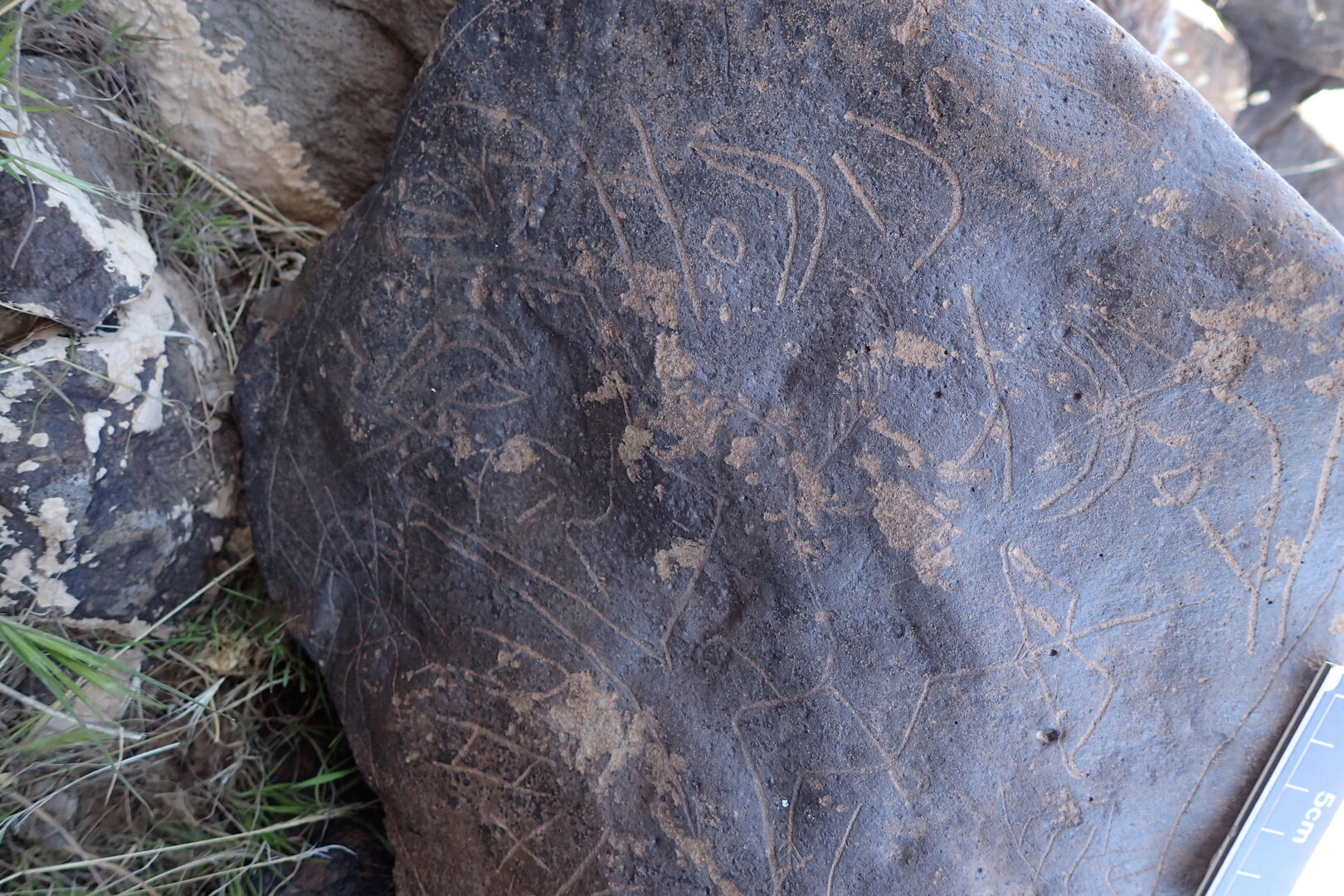 Image of siglum BES20 1610
