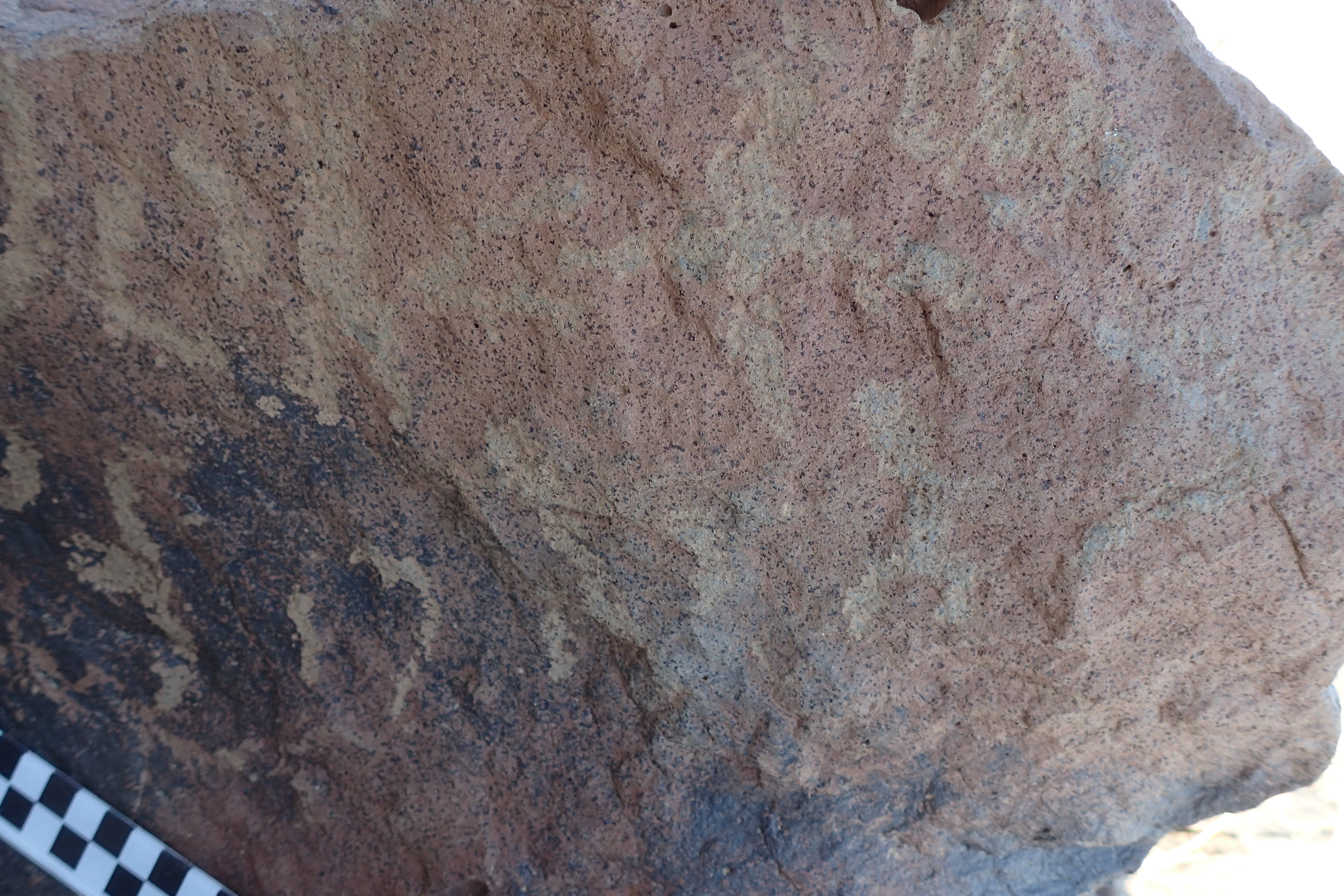 Image of siglum BES20 1613