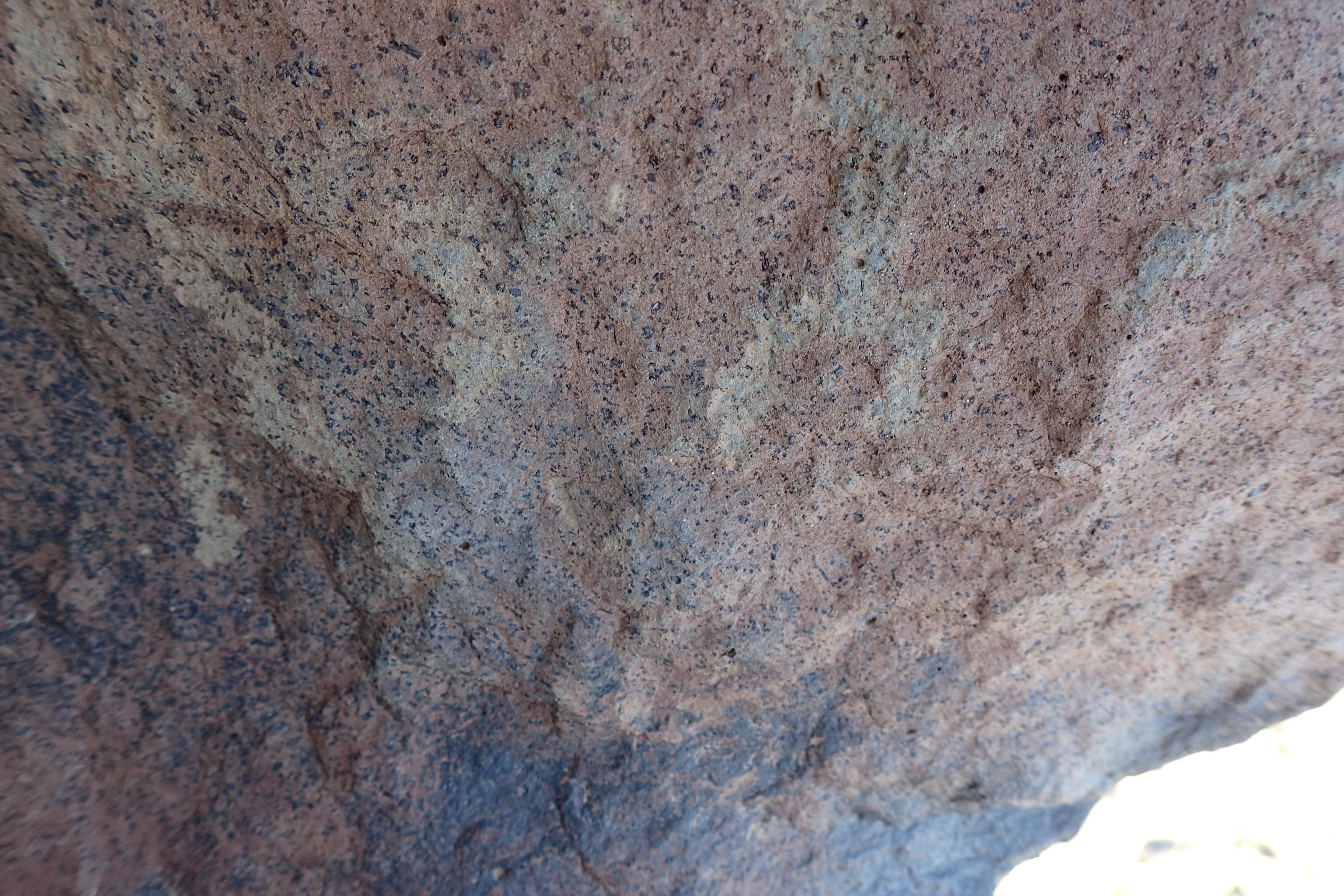 Image of siglum BES20 1613