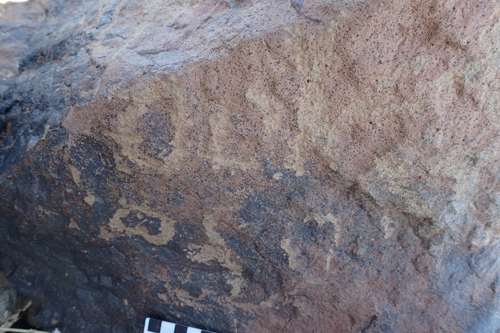 Image of siglum BES20 1613