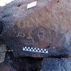 Image of siglum BES20 1613