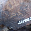Image of siglum BES20 1613
