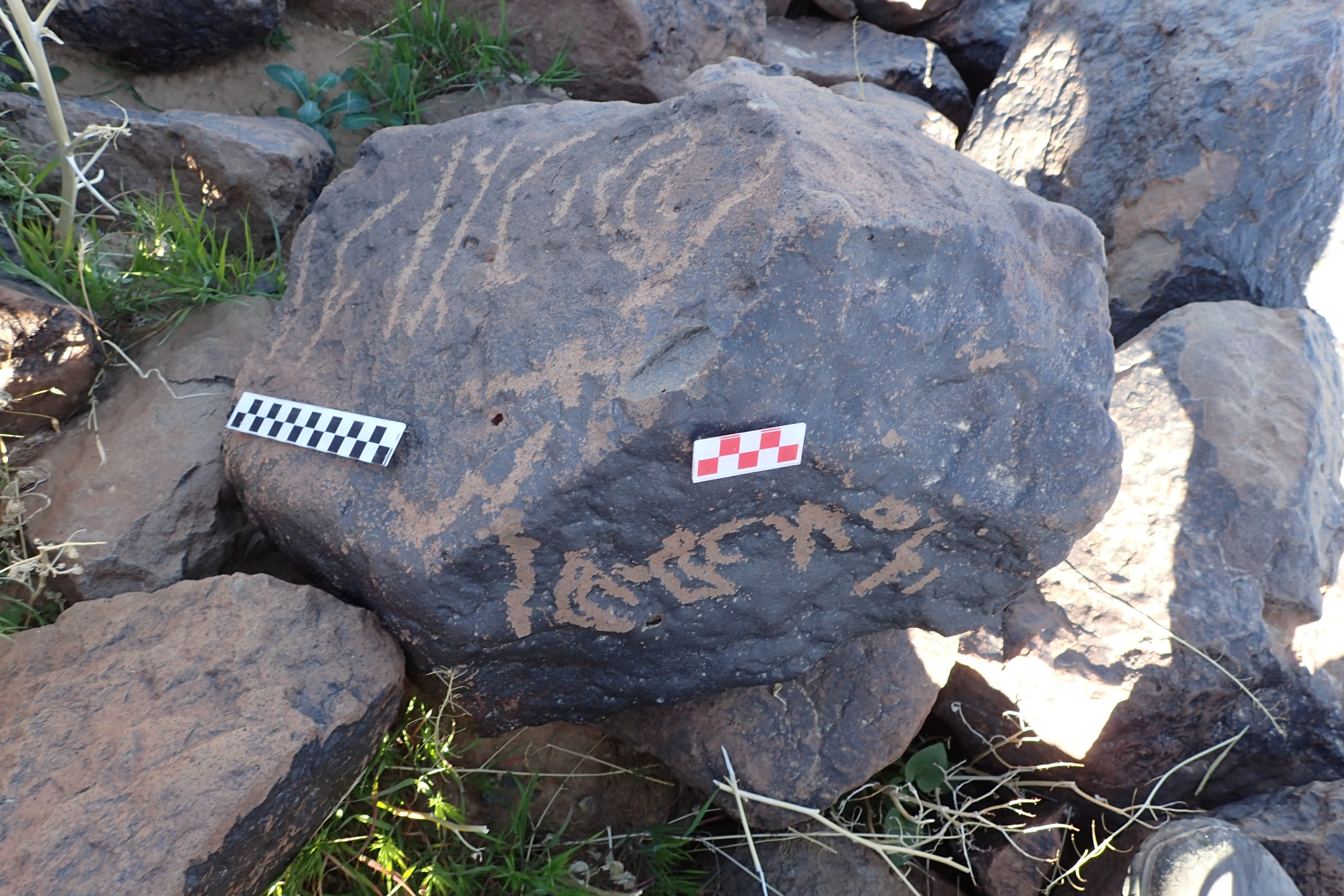 Image of siglum BES20 1614