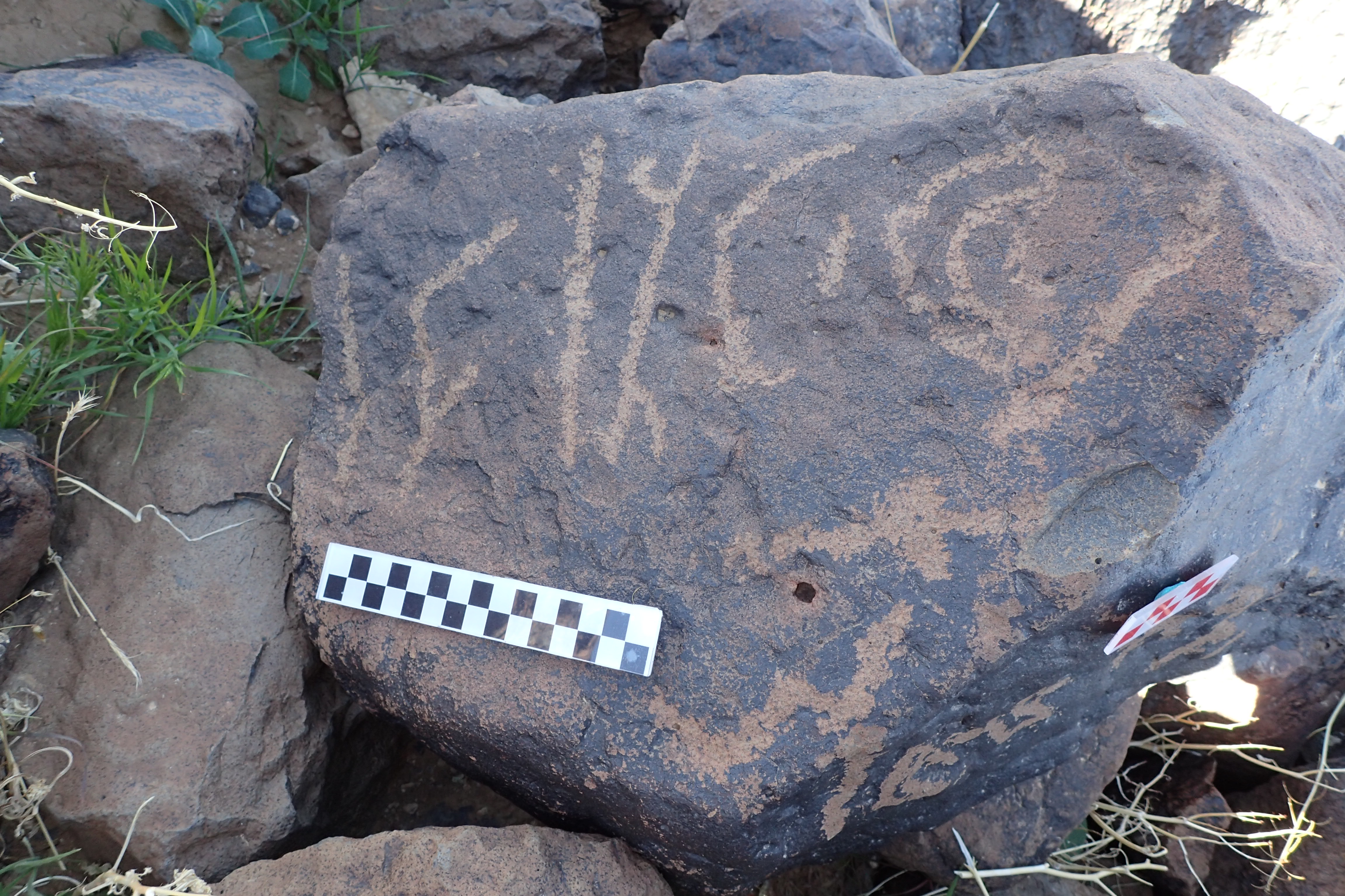 Image of siglum BES20 1614