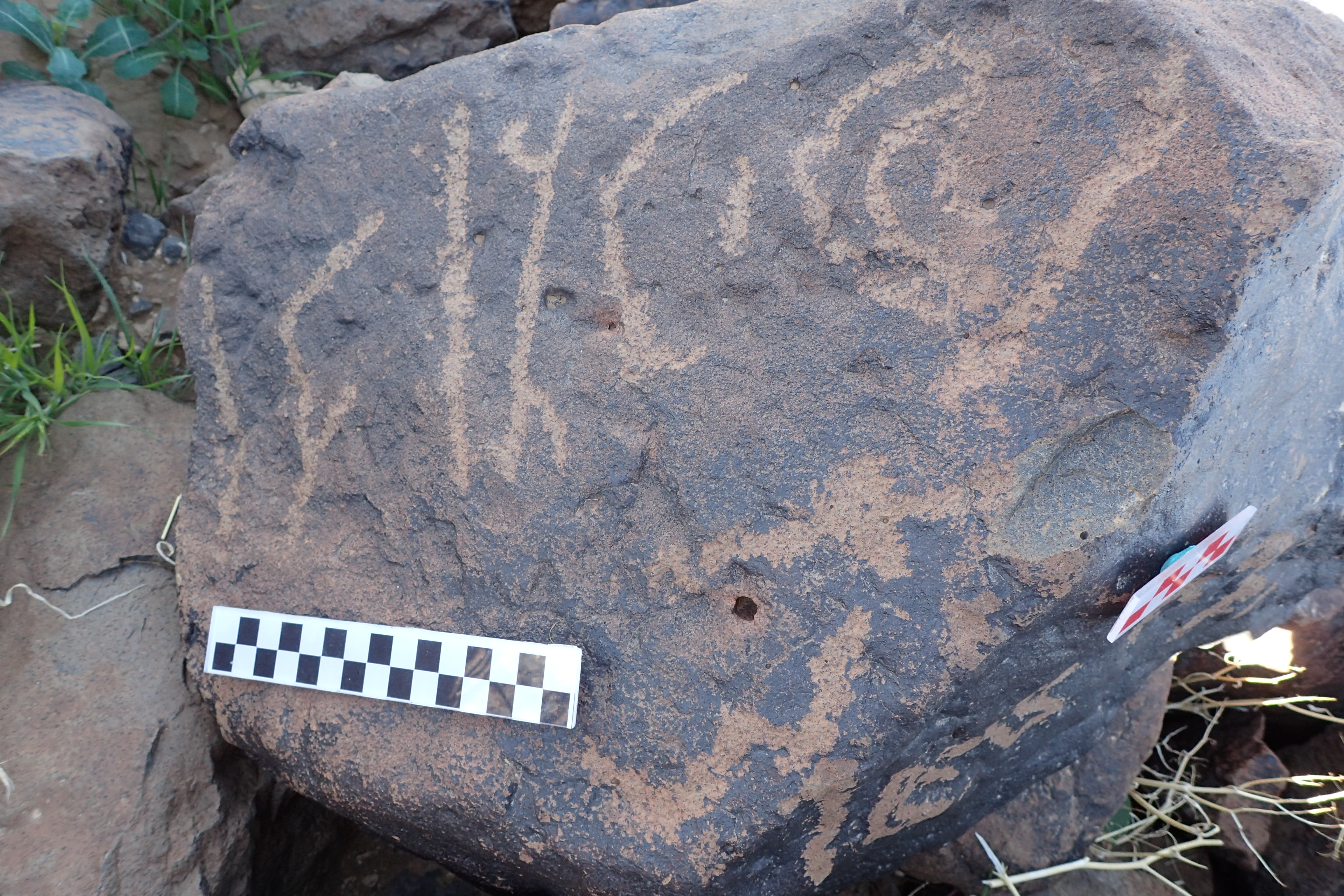 Image of siglum BES20 1614