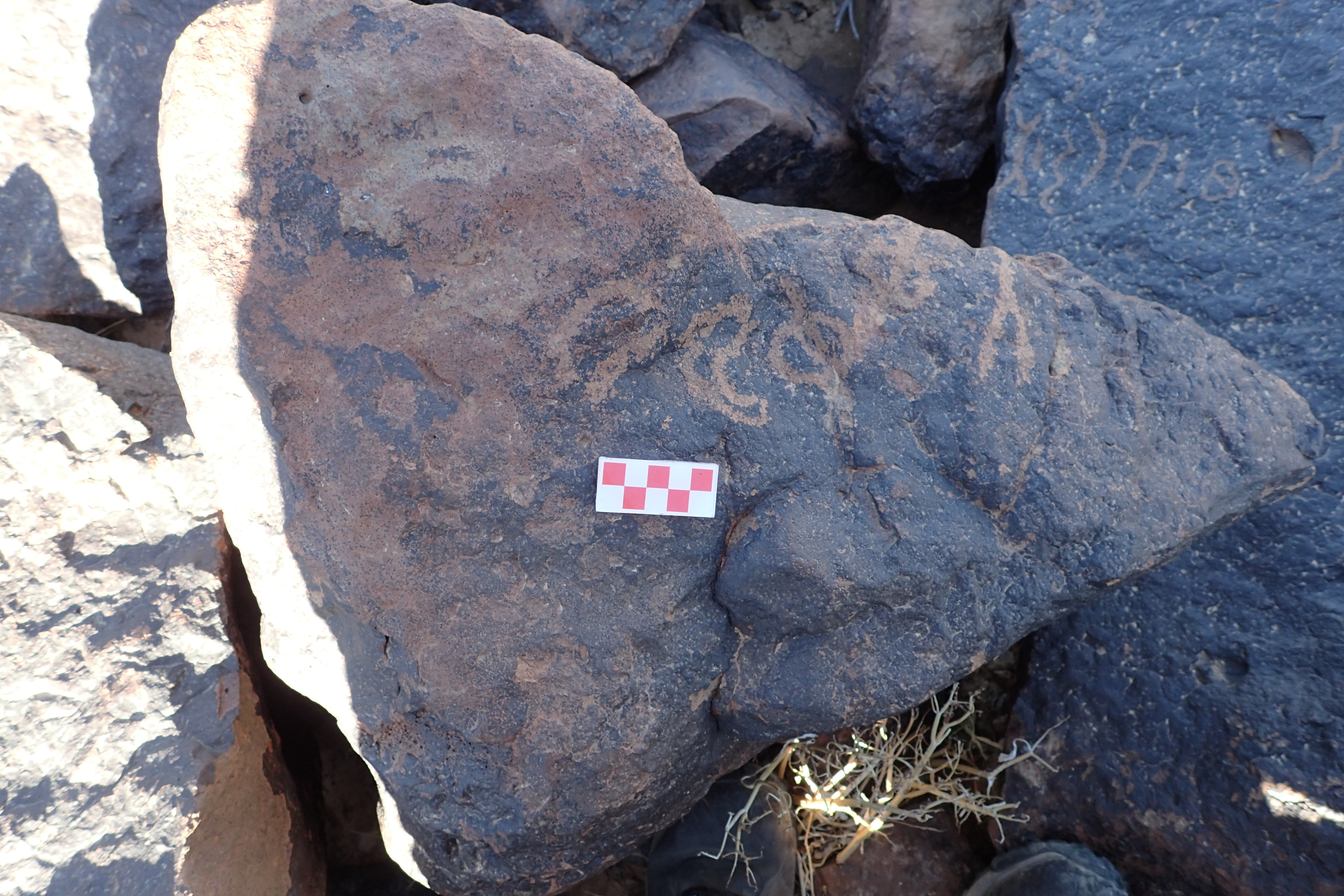 Image of siglum BES20 1616