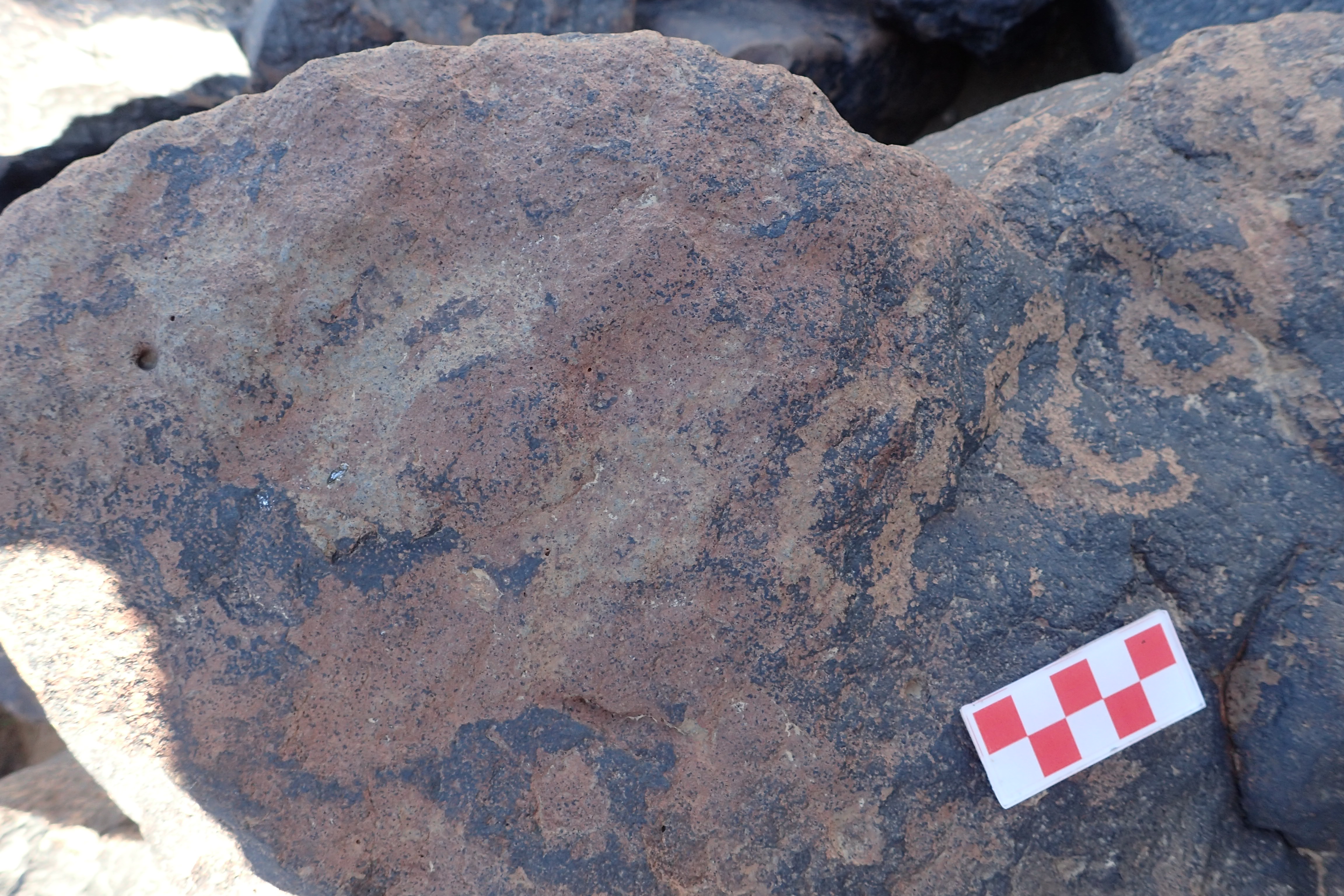 Image of siglum BES20 1616