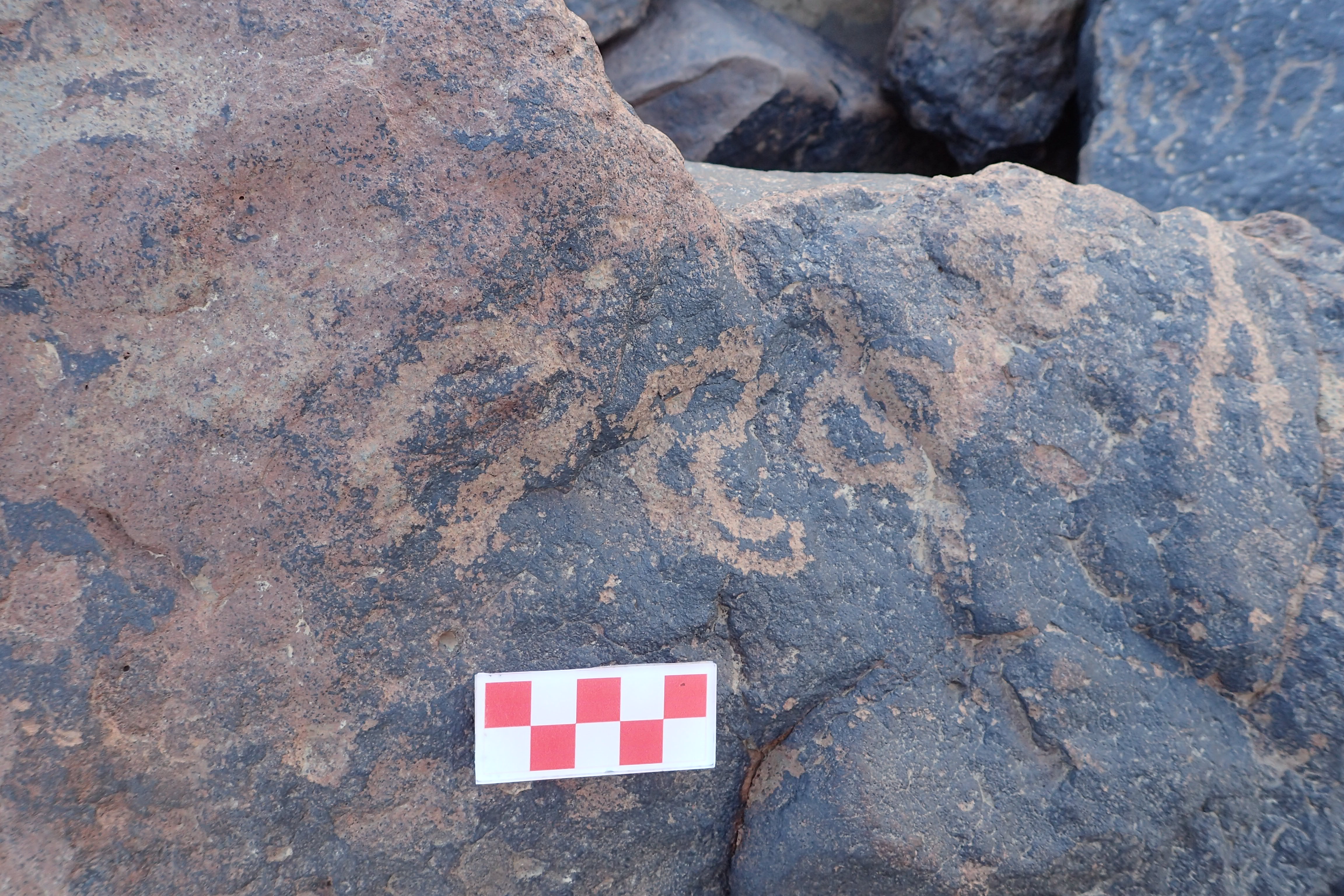 Image of siglum BES20 1616