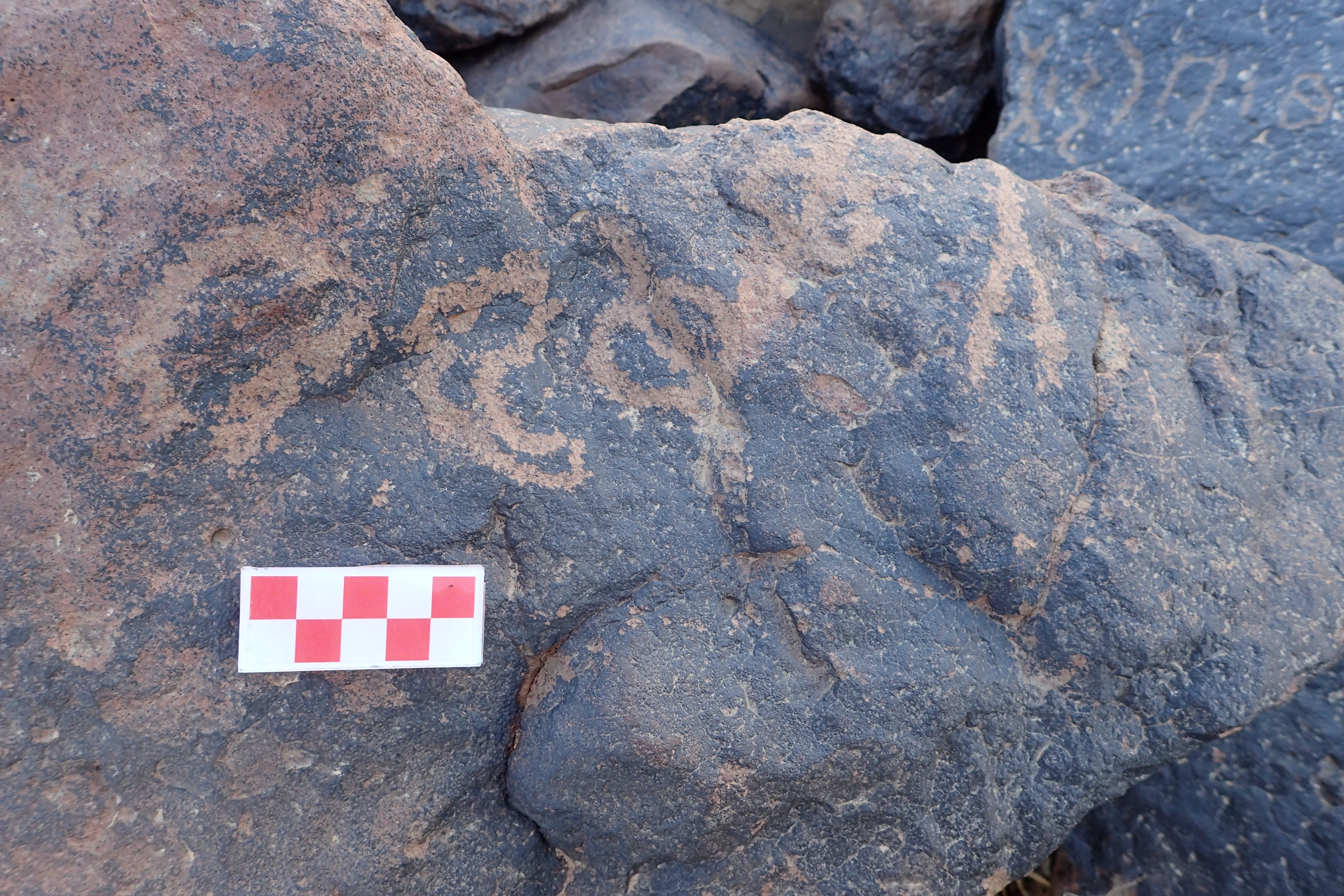 Image of siglum BES20 1616