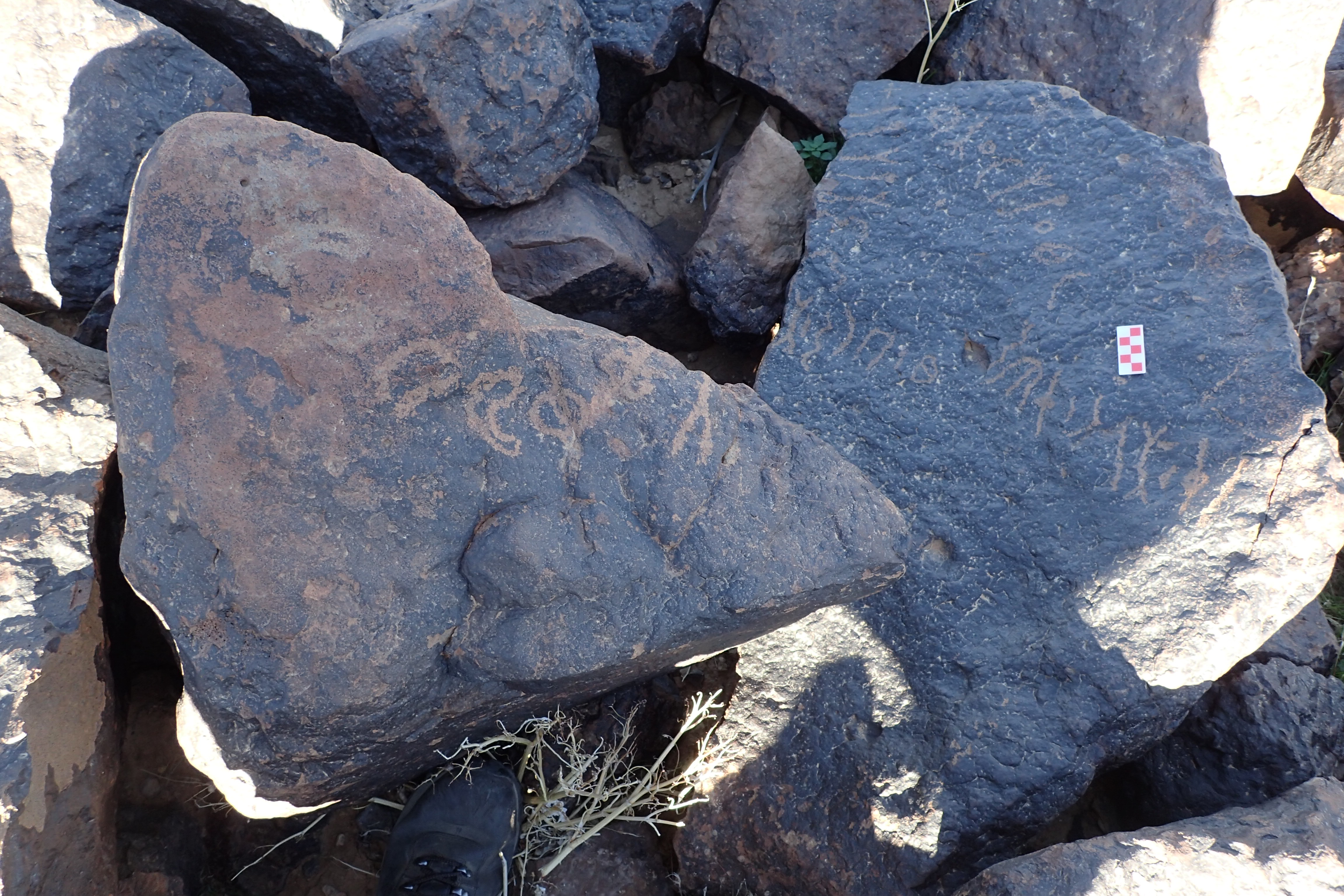 Image of siglum BES20 1617