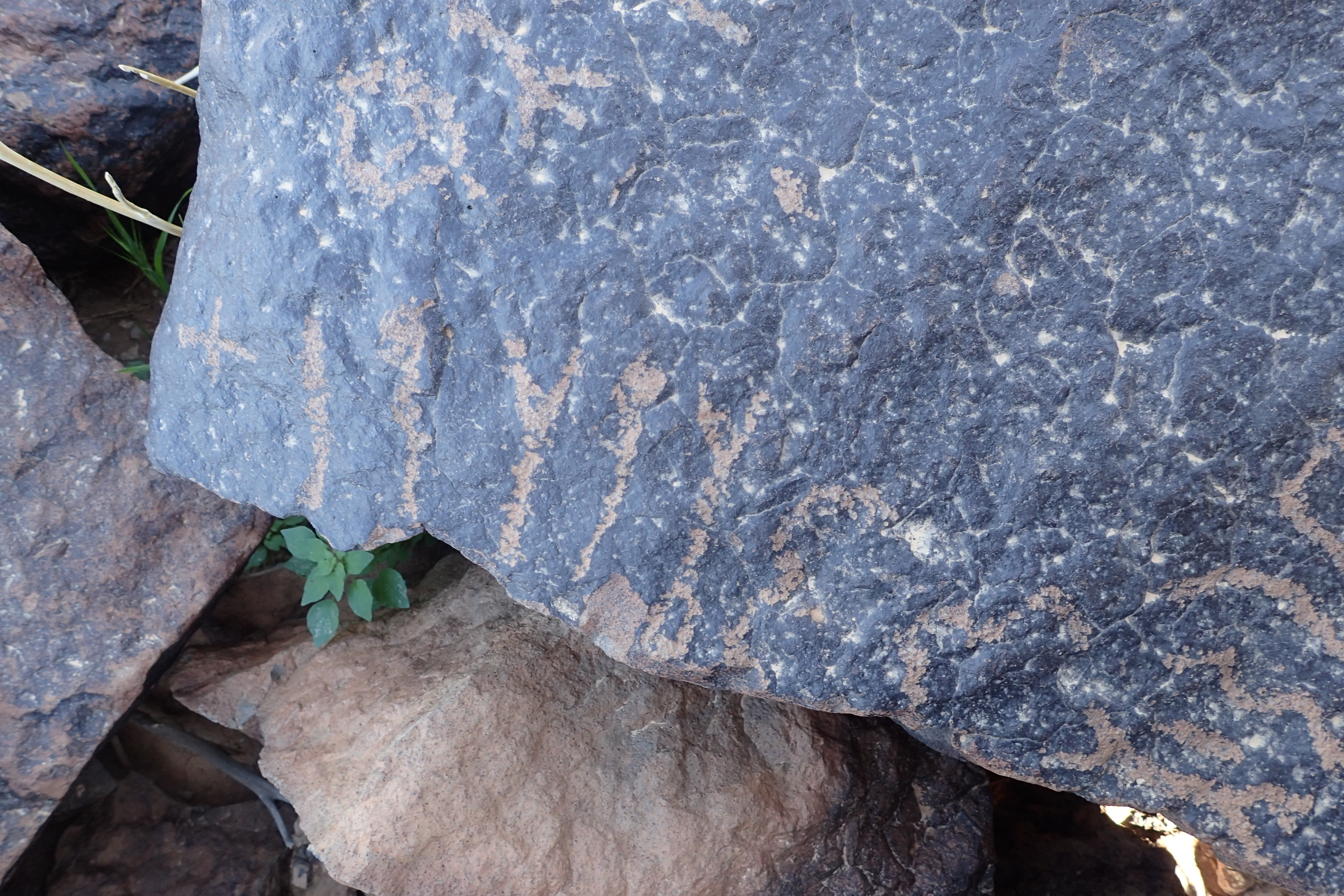 Image of siglum BES20 1617