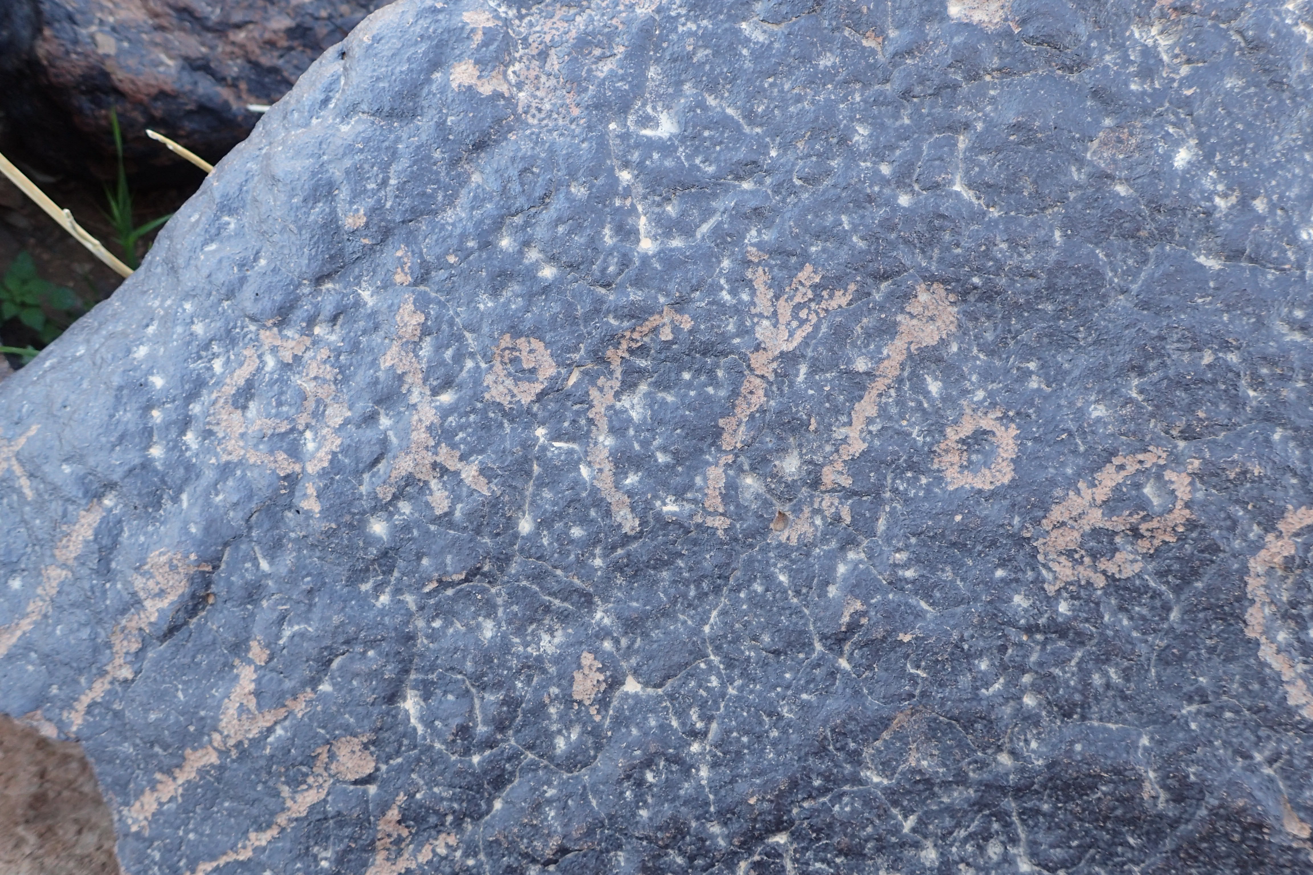 Image of siglum BES20 1617