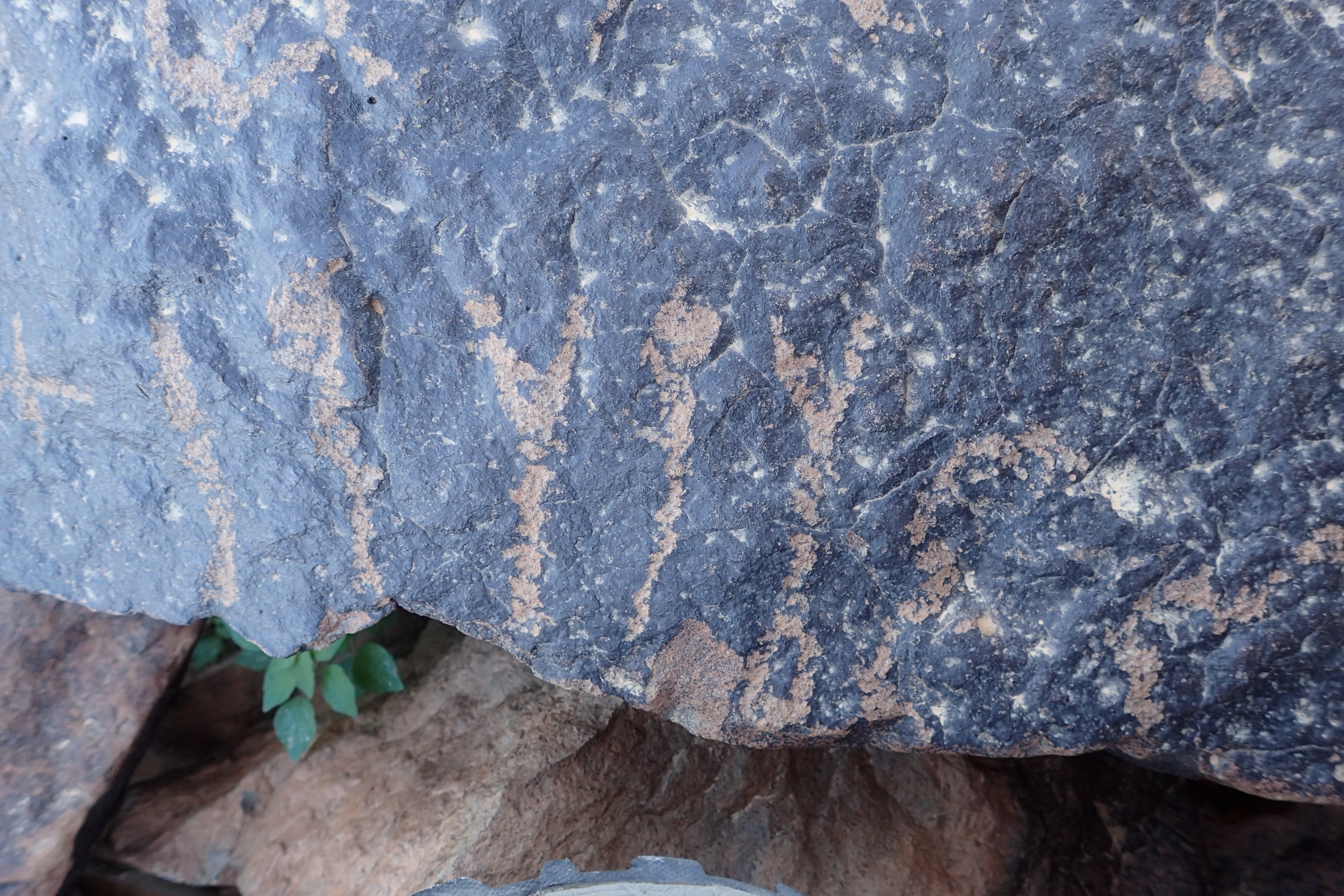 Image of siglum BES20 1617