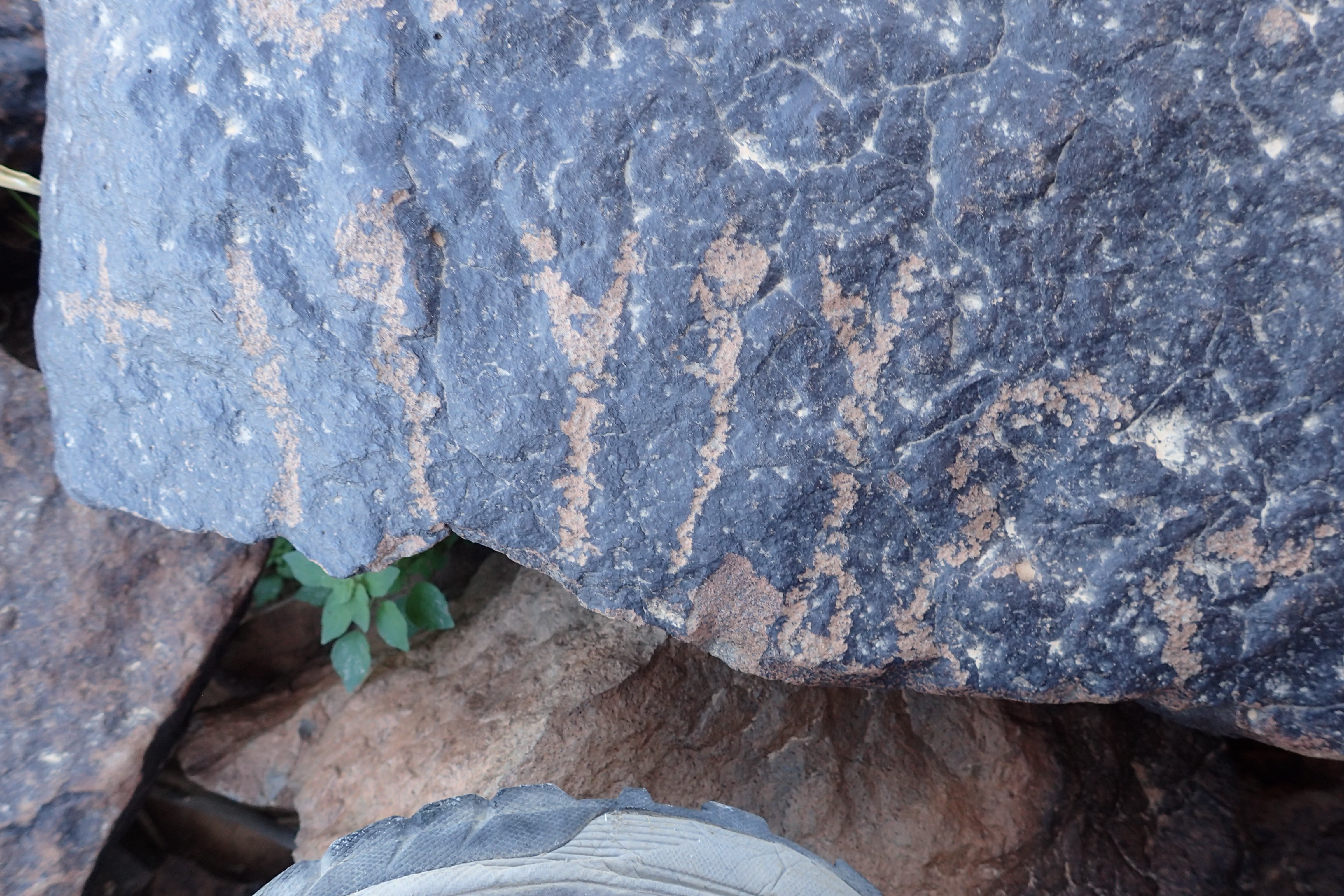 Image of siglum BES20 1617