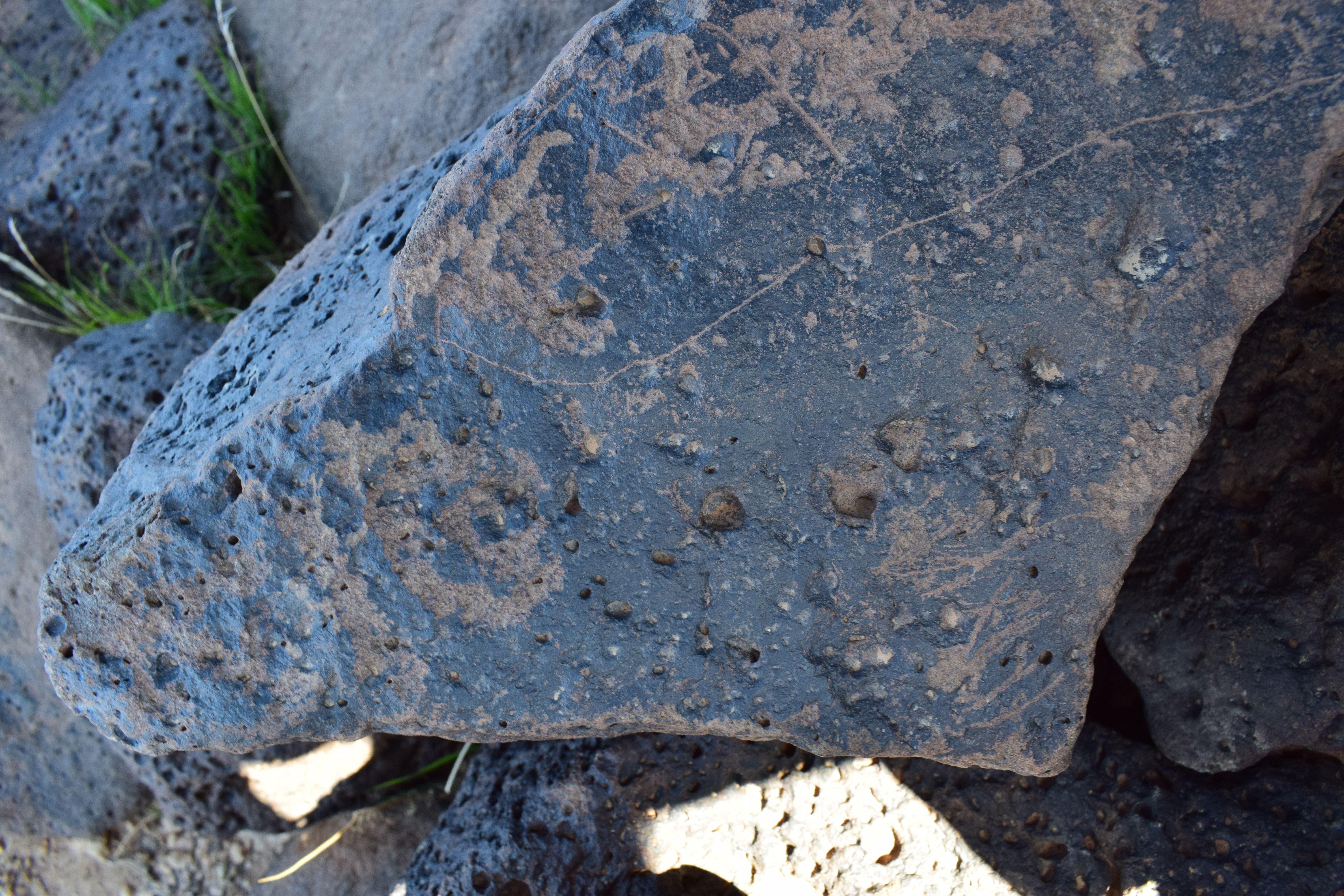 Image of siglum BES20 1618