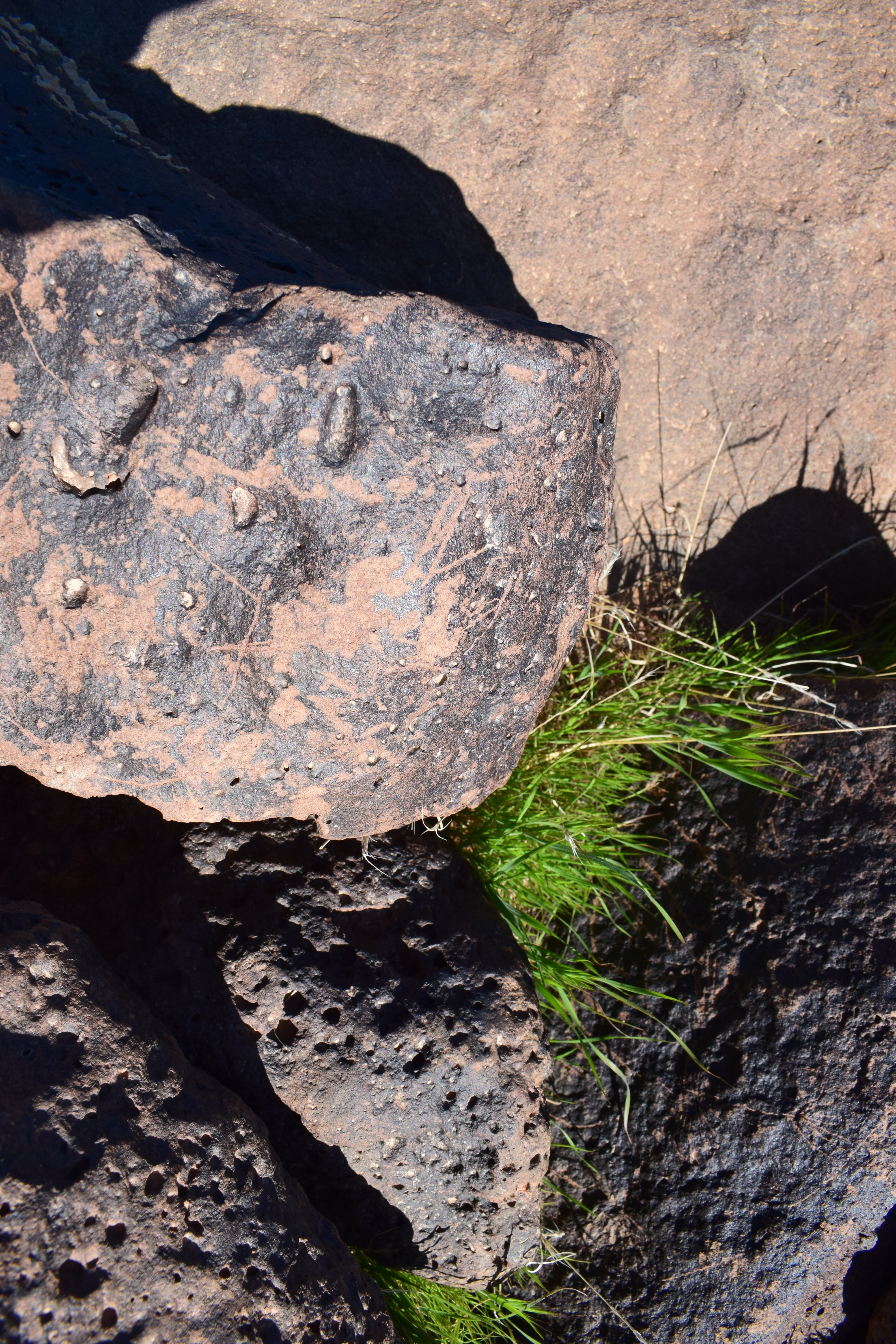 Image of siglum BES20 1618