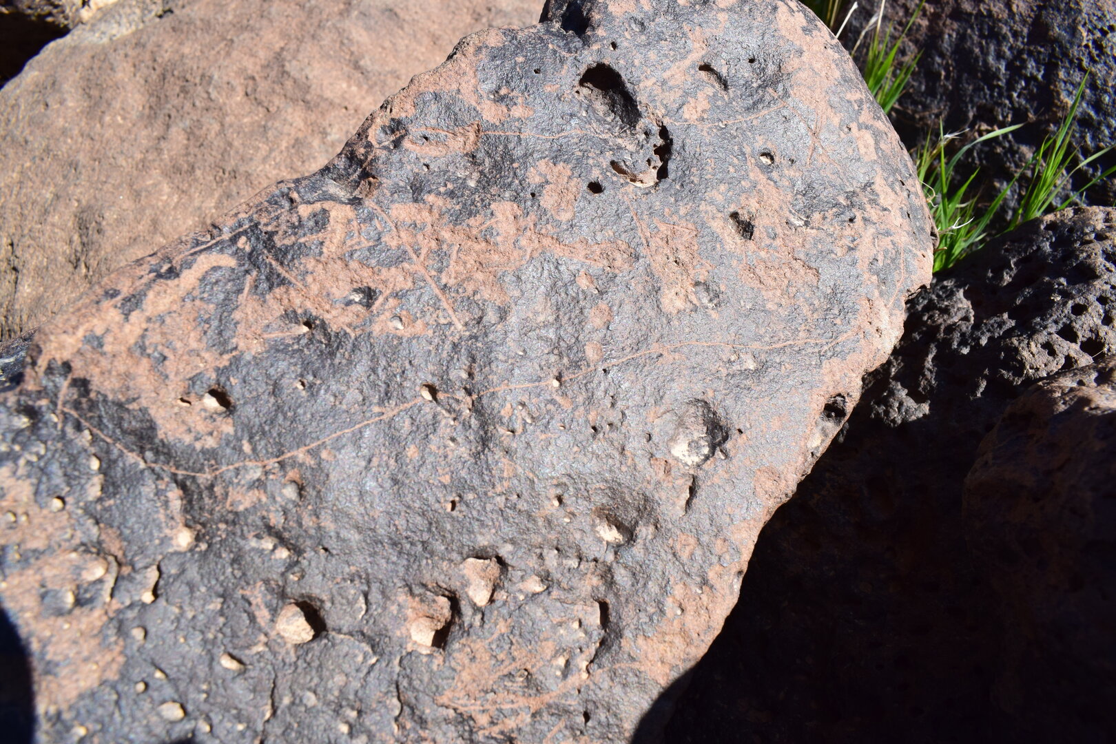 Image of siglum BES20 1618