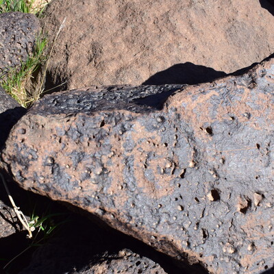 Image of siglum BES20 1621