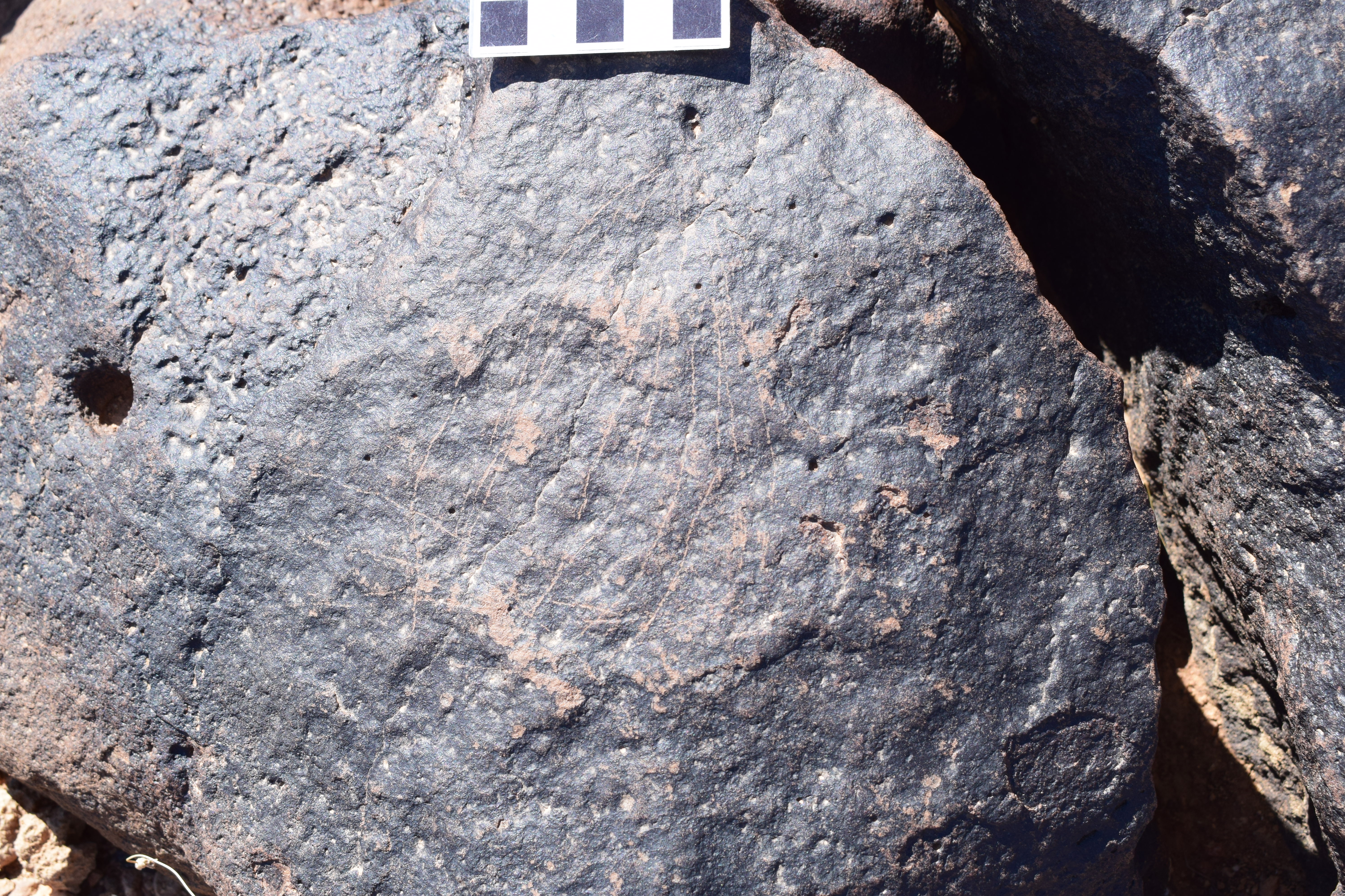 Image of siglum BES20 1626