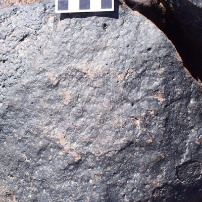 Image of siglum BES20 1626