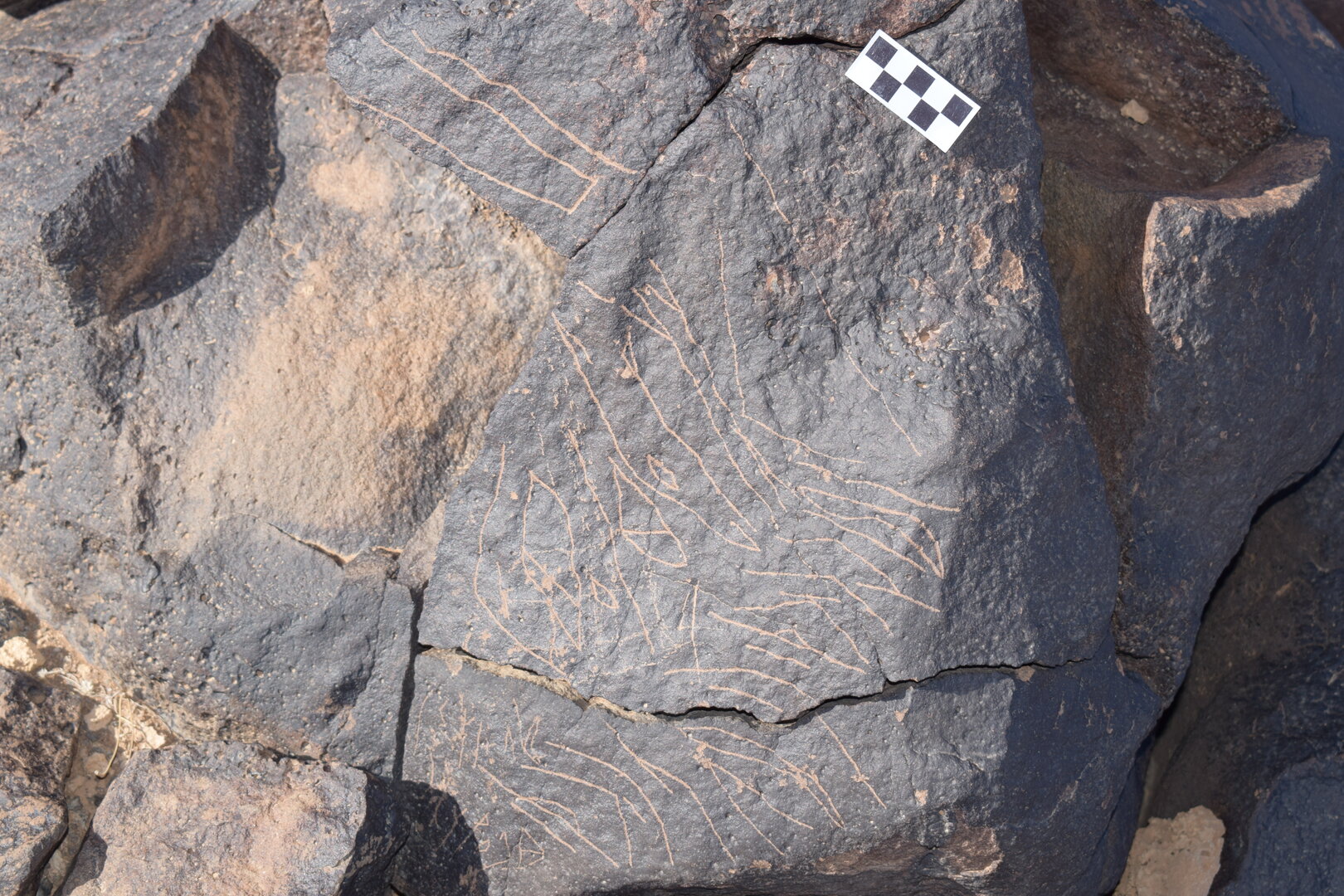Image of siglum BES20 1628