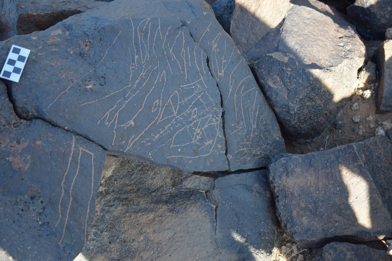 Image of siglum BES20 1628