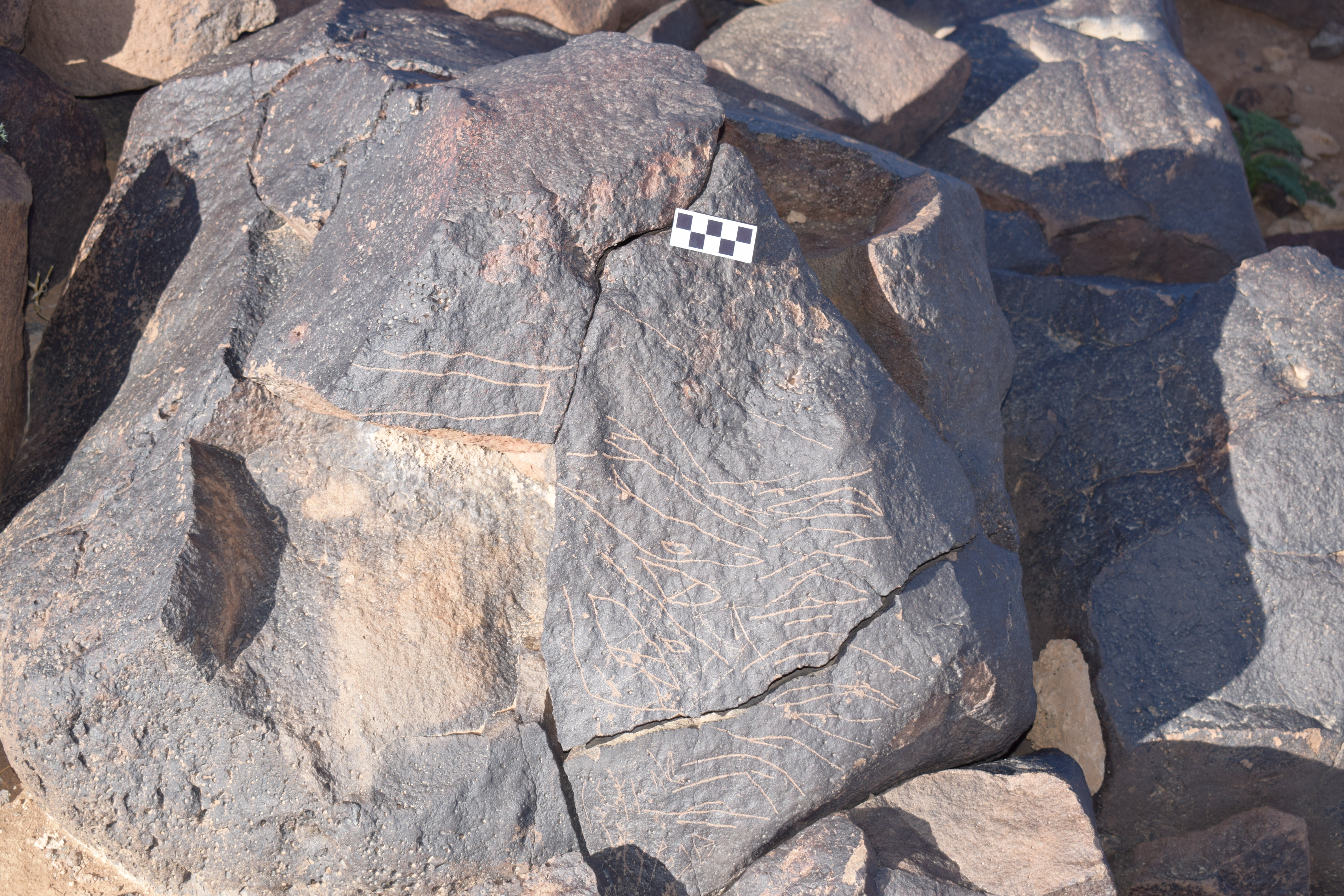 Image of siglum BES20 1629