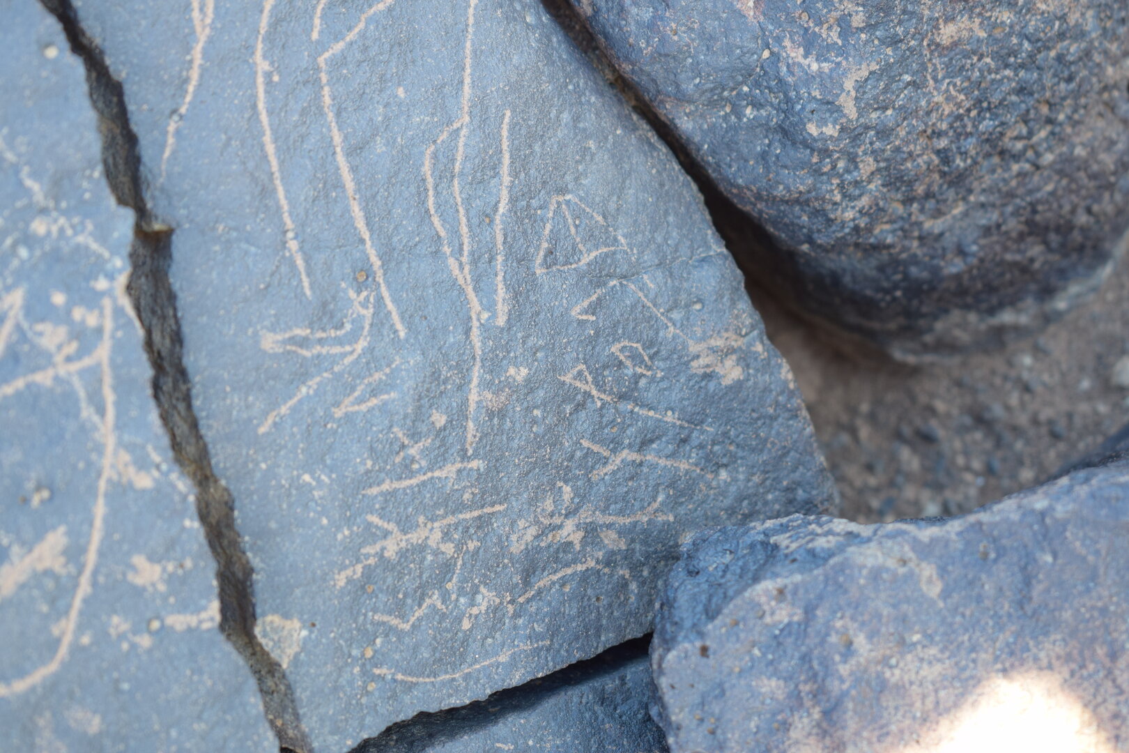 Image of siglum BES20 1629