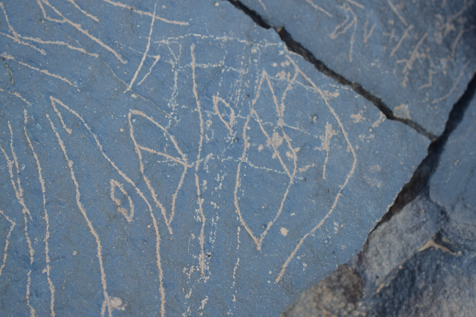 Image of siglum BES20 1629