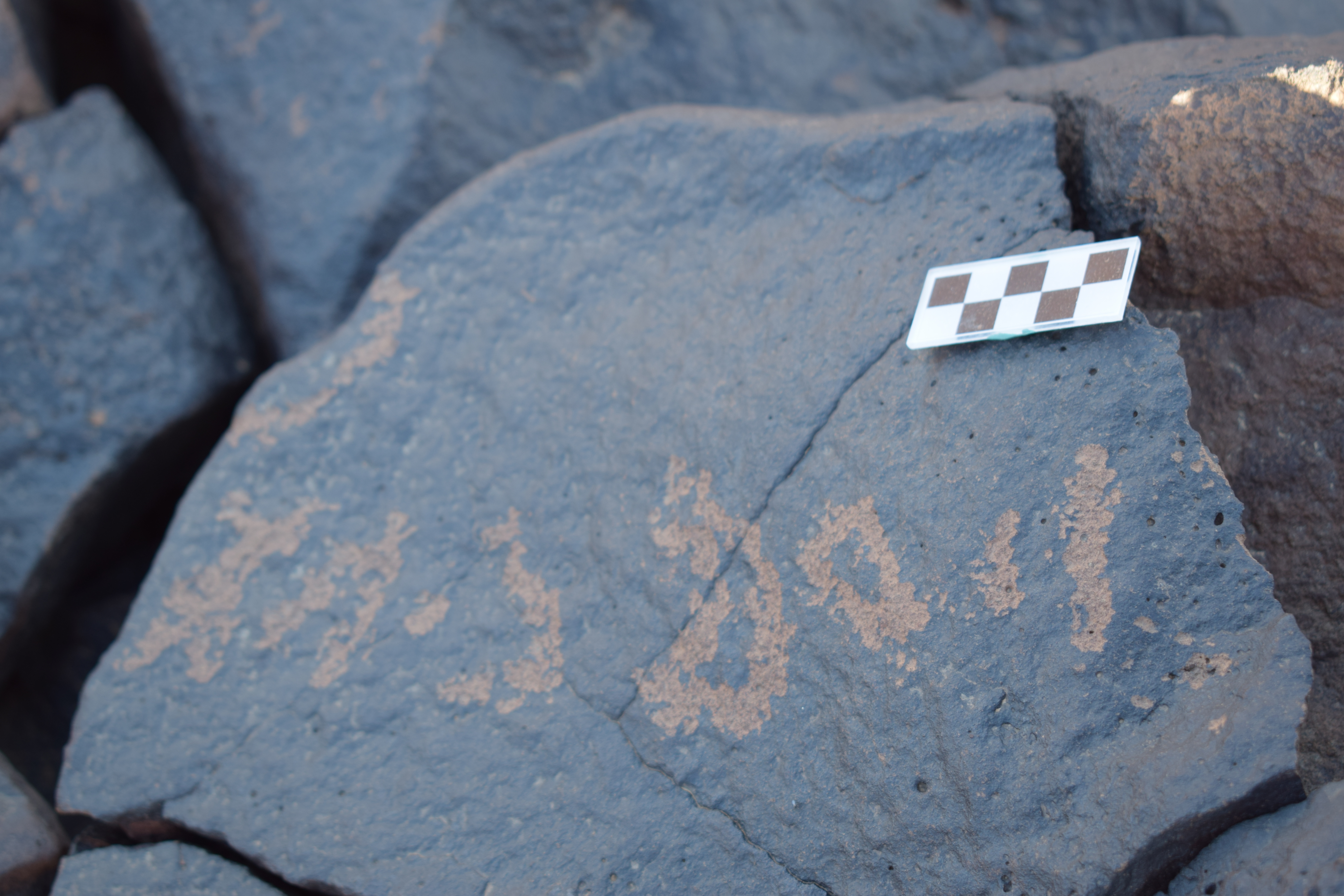 Image of siglum BES20 1630