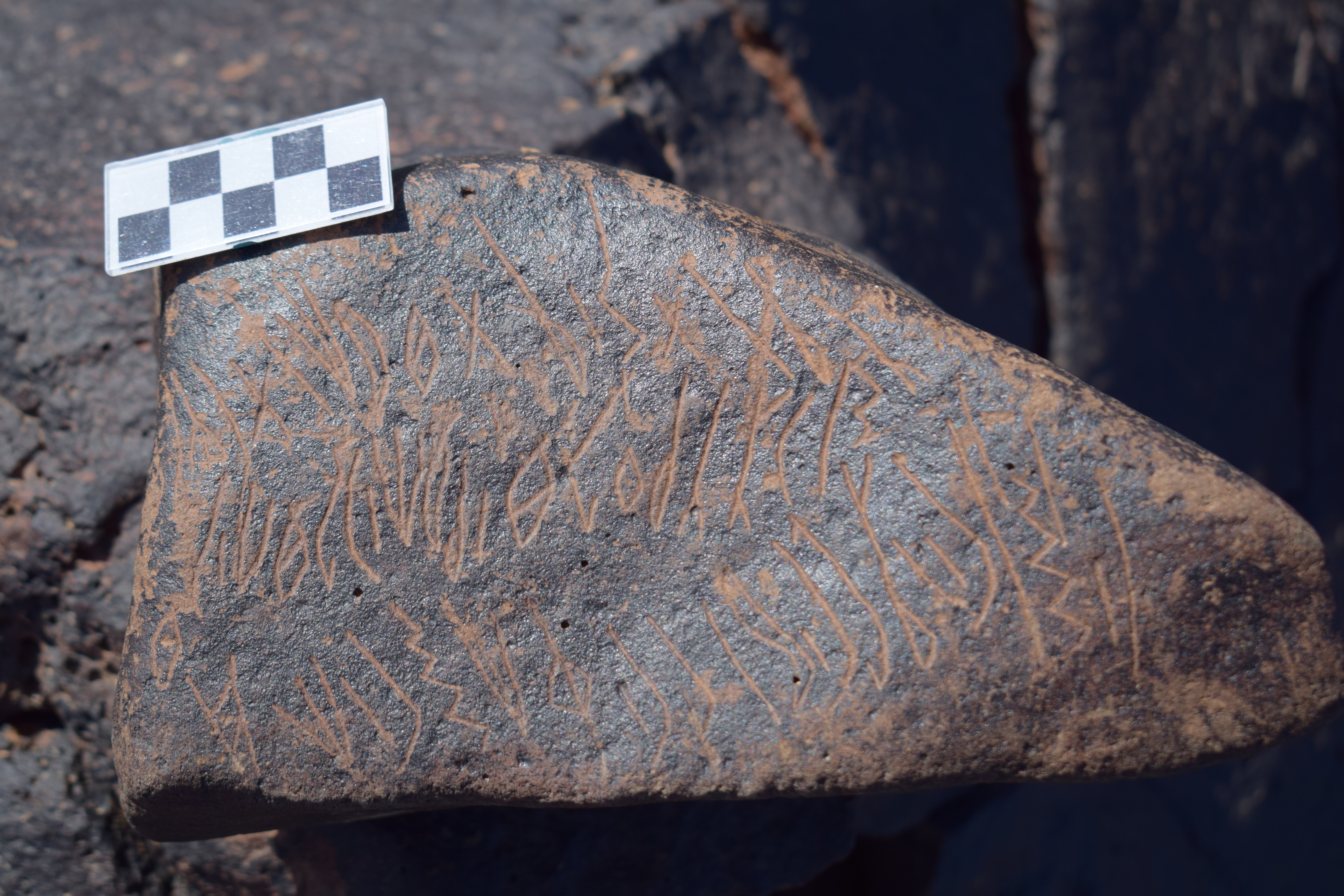 Image of siglum BES20 1631