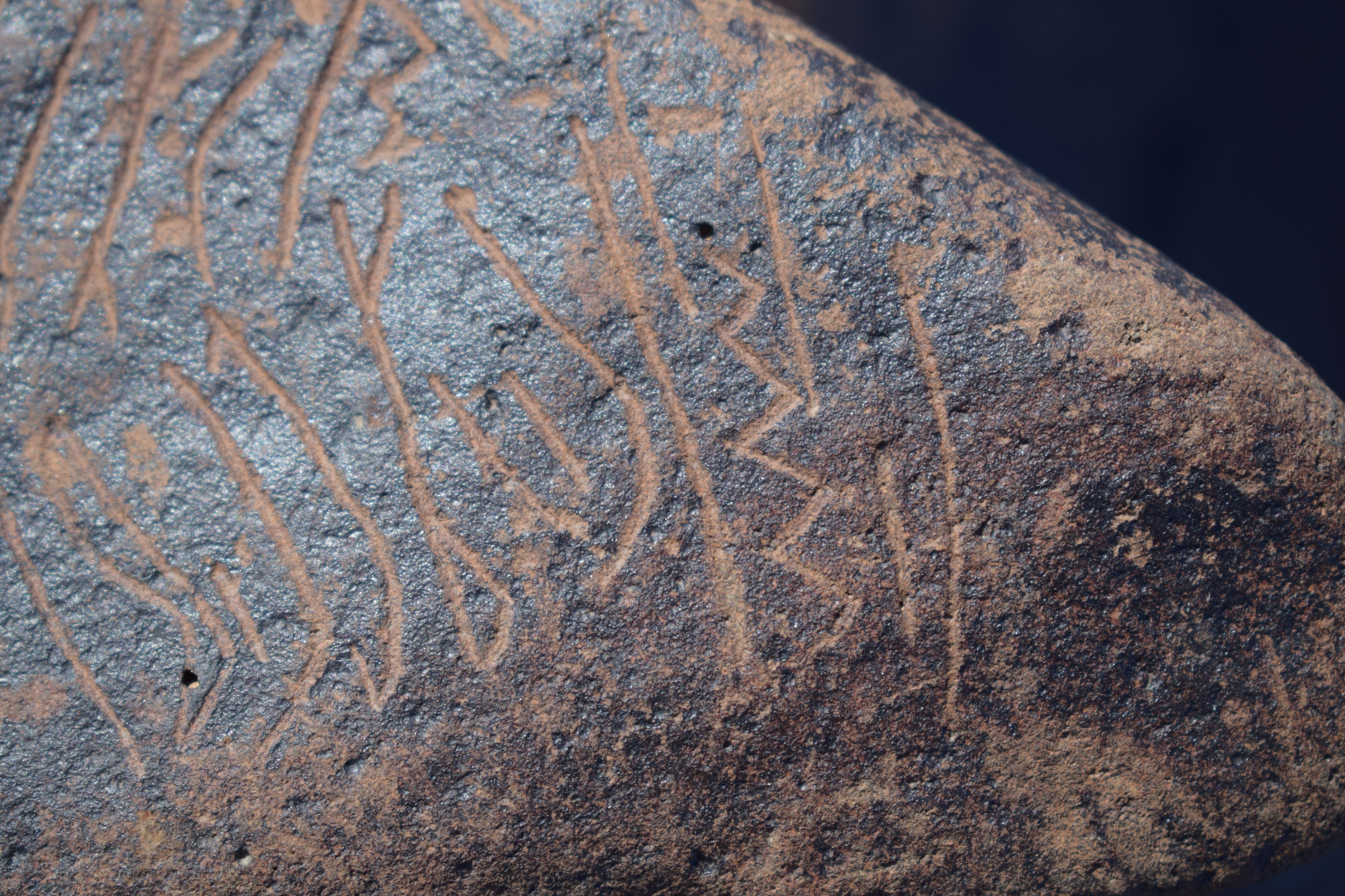 Image of siglum BES20 1631