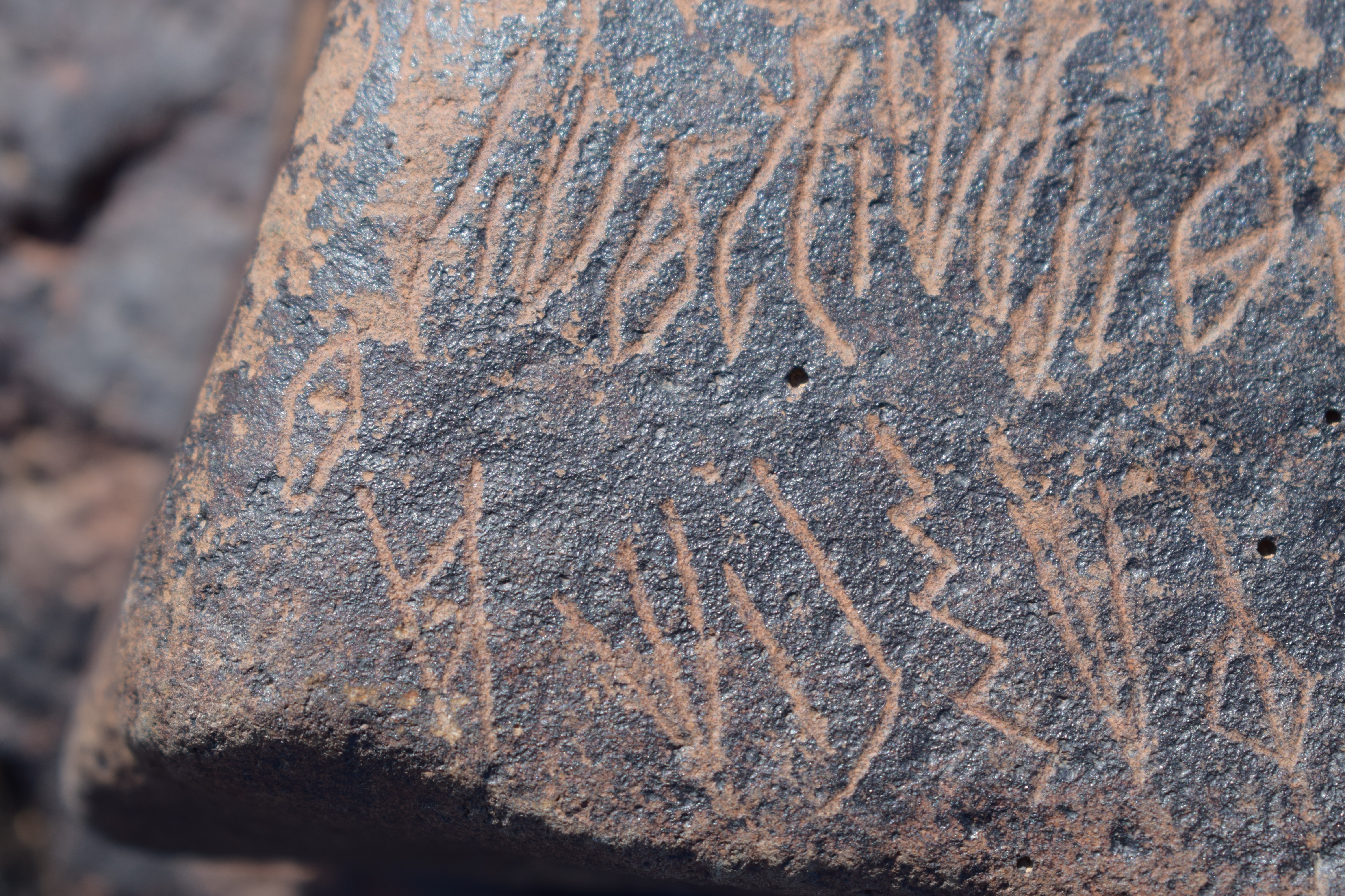 Image of siglum BES20 1631