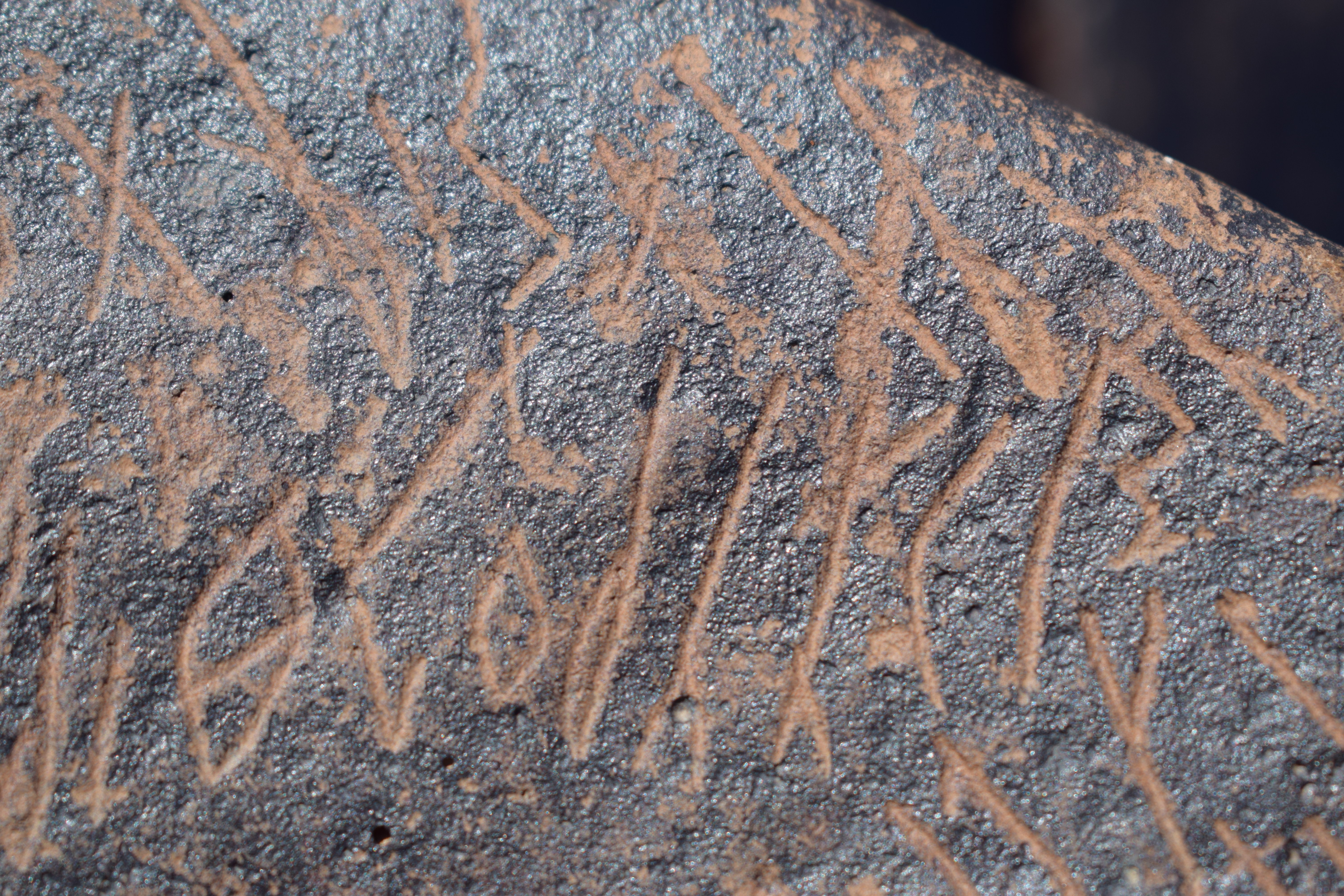 Image of siglum BES20 1631