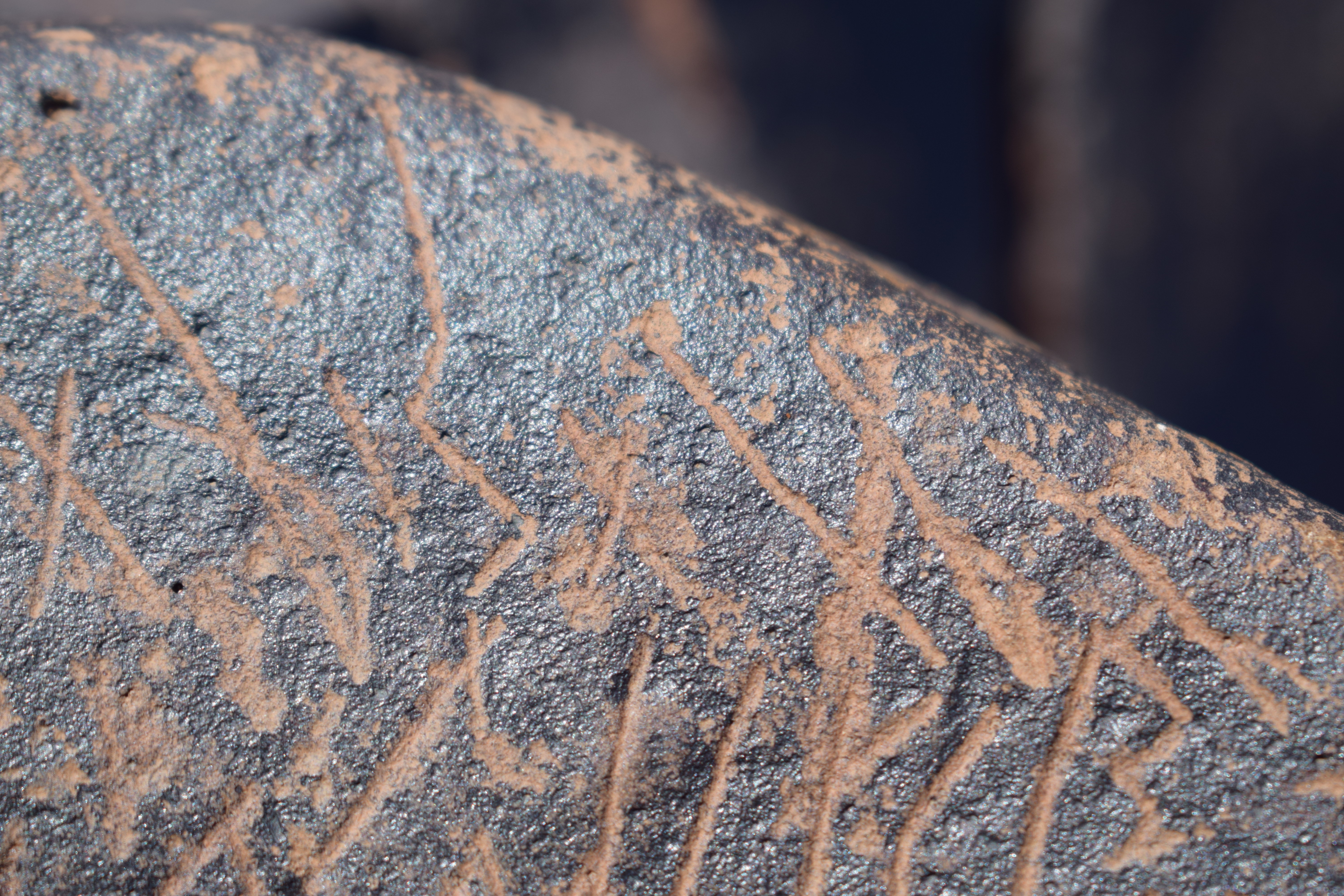 Image of siglum BES20 1631