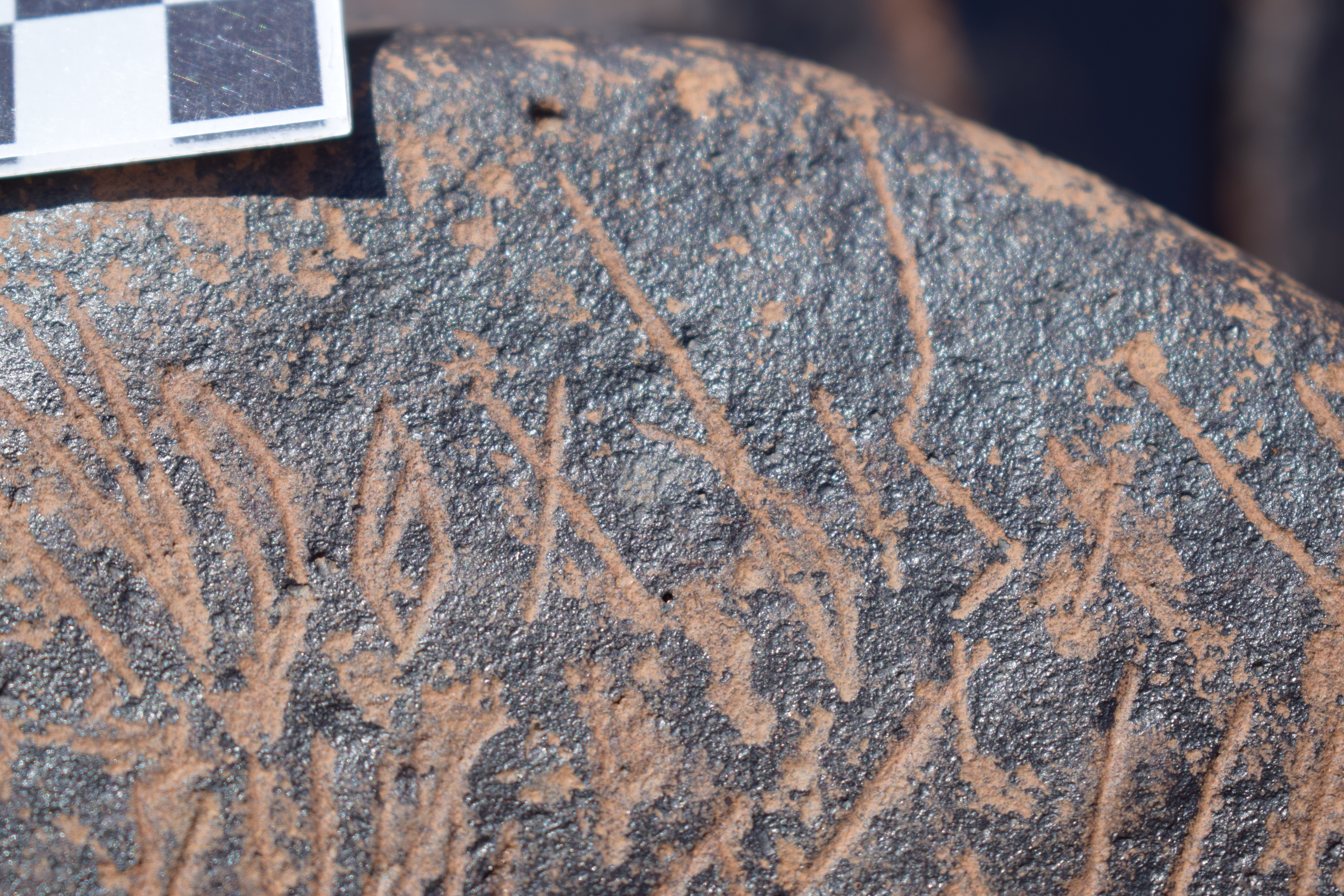 Image of siglum BES20 1631