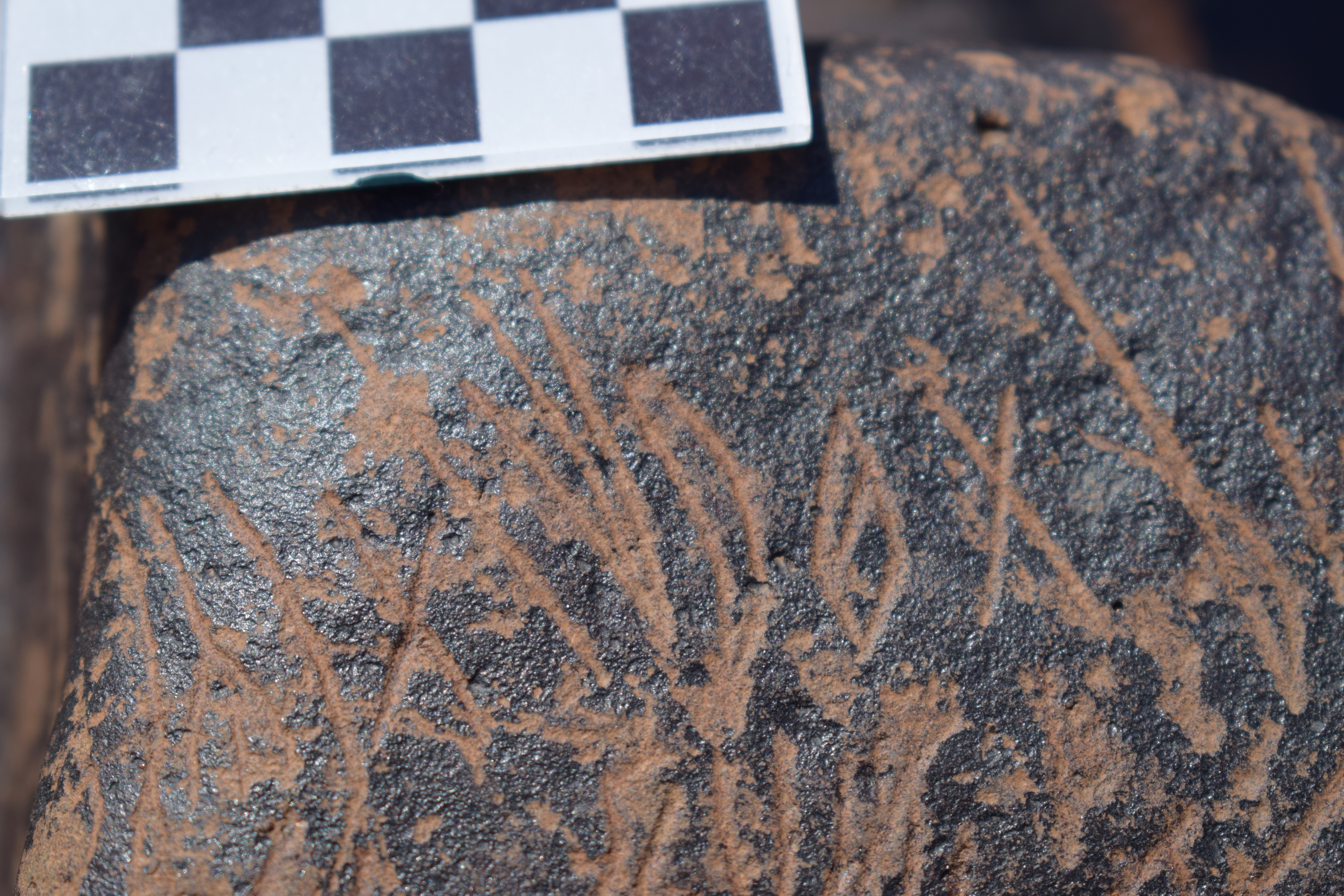 Image of siglum BES20 1631