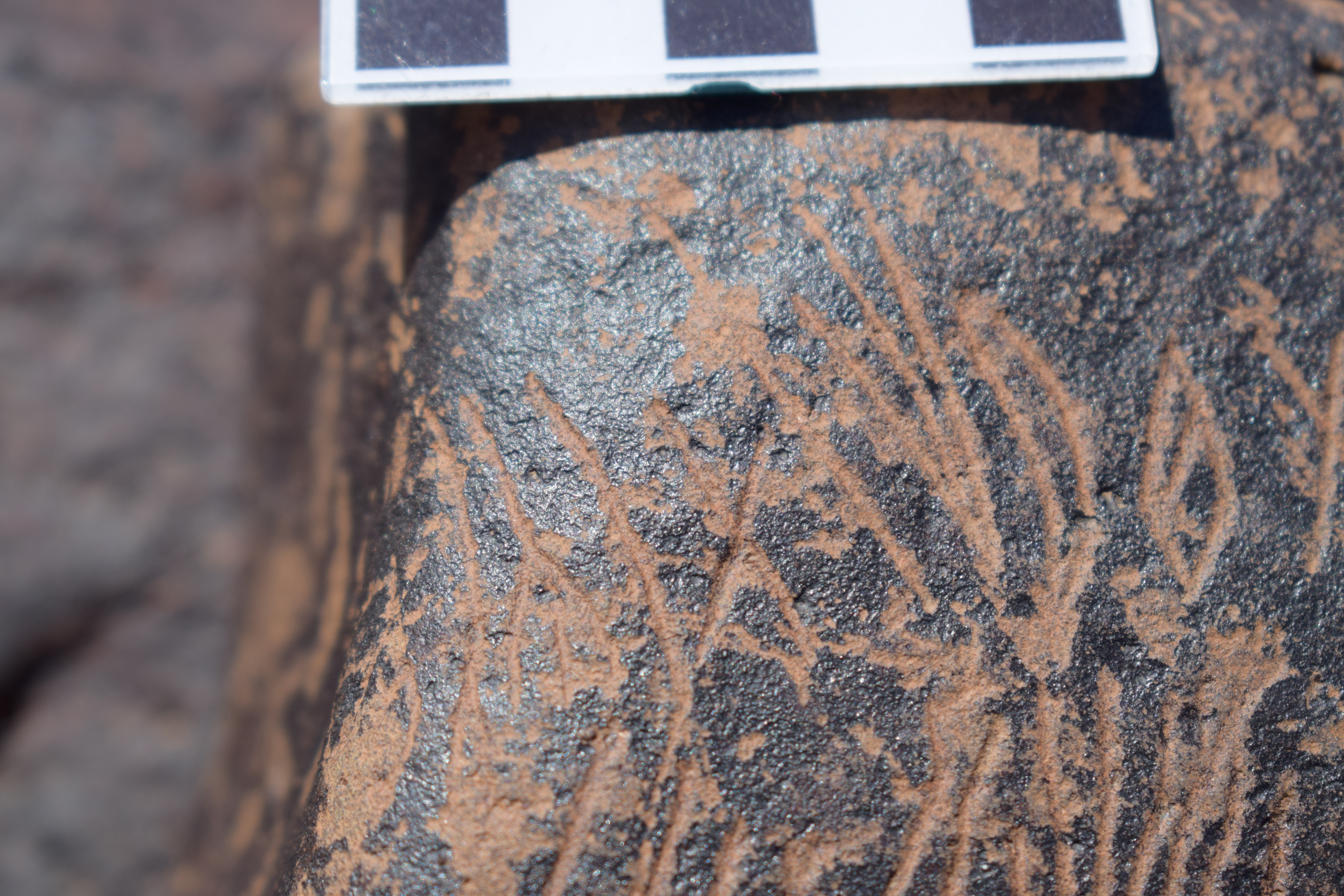 Image of siglum BES20 1631