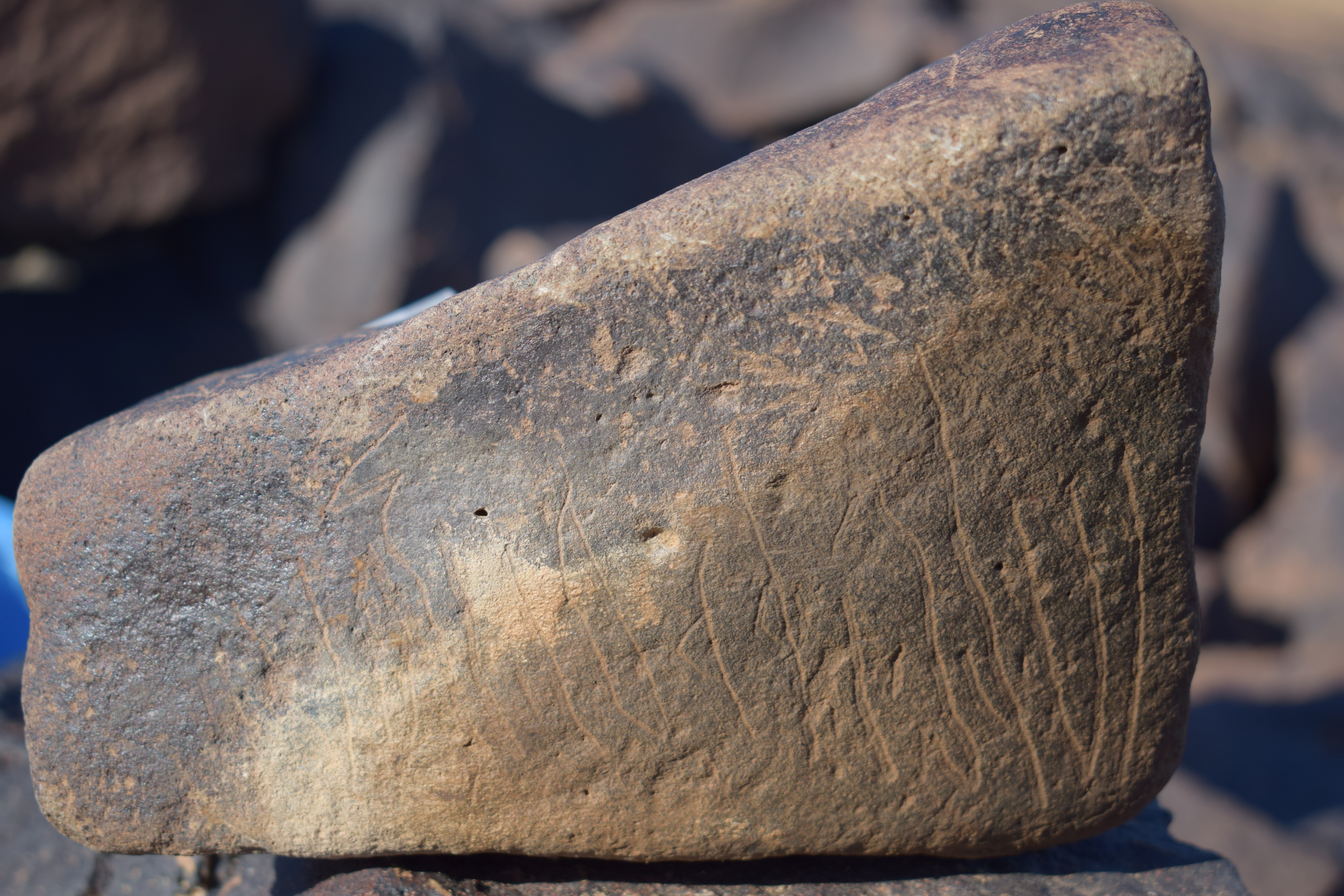 Image of siglum BES20 1631