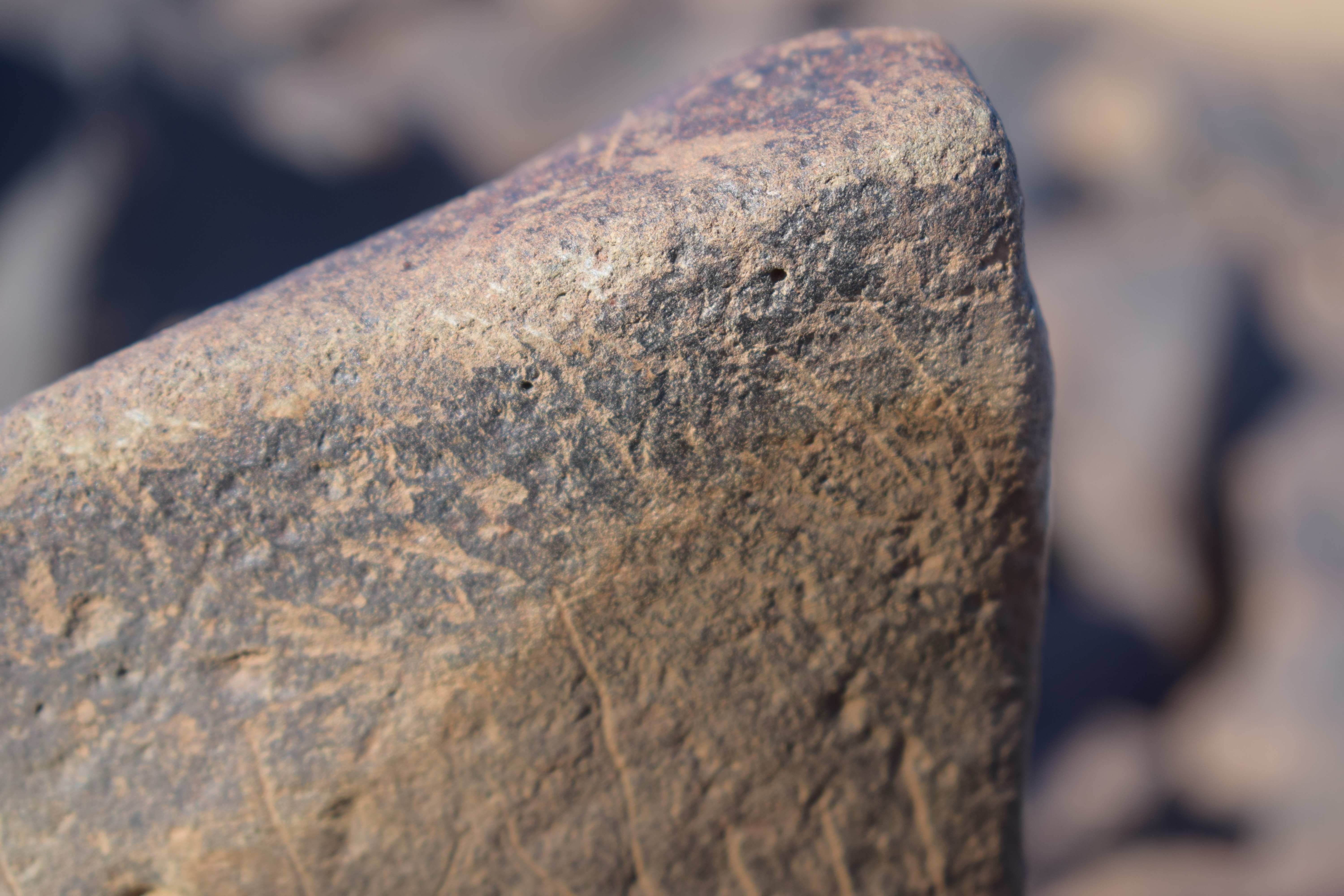 Image of siglum BES20 1631