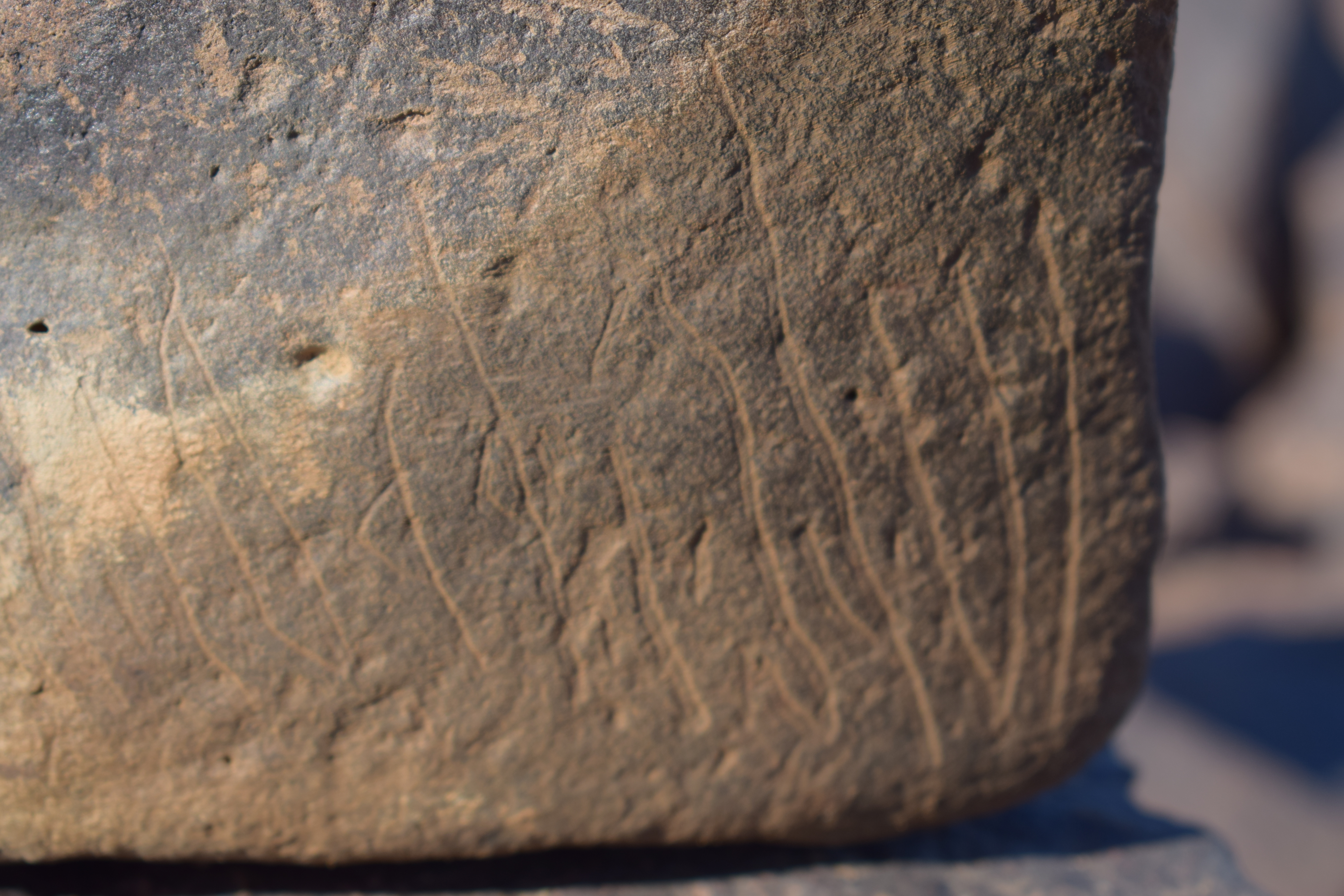 Image of siglum BES20 1631